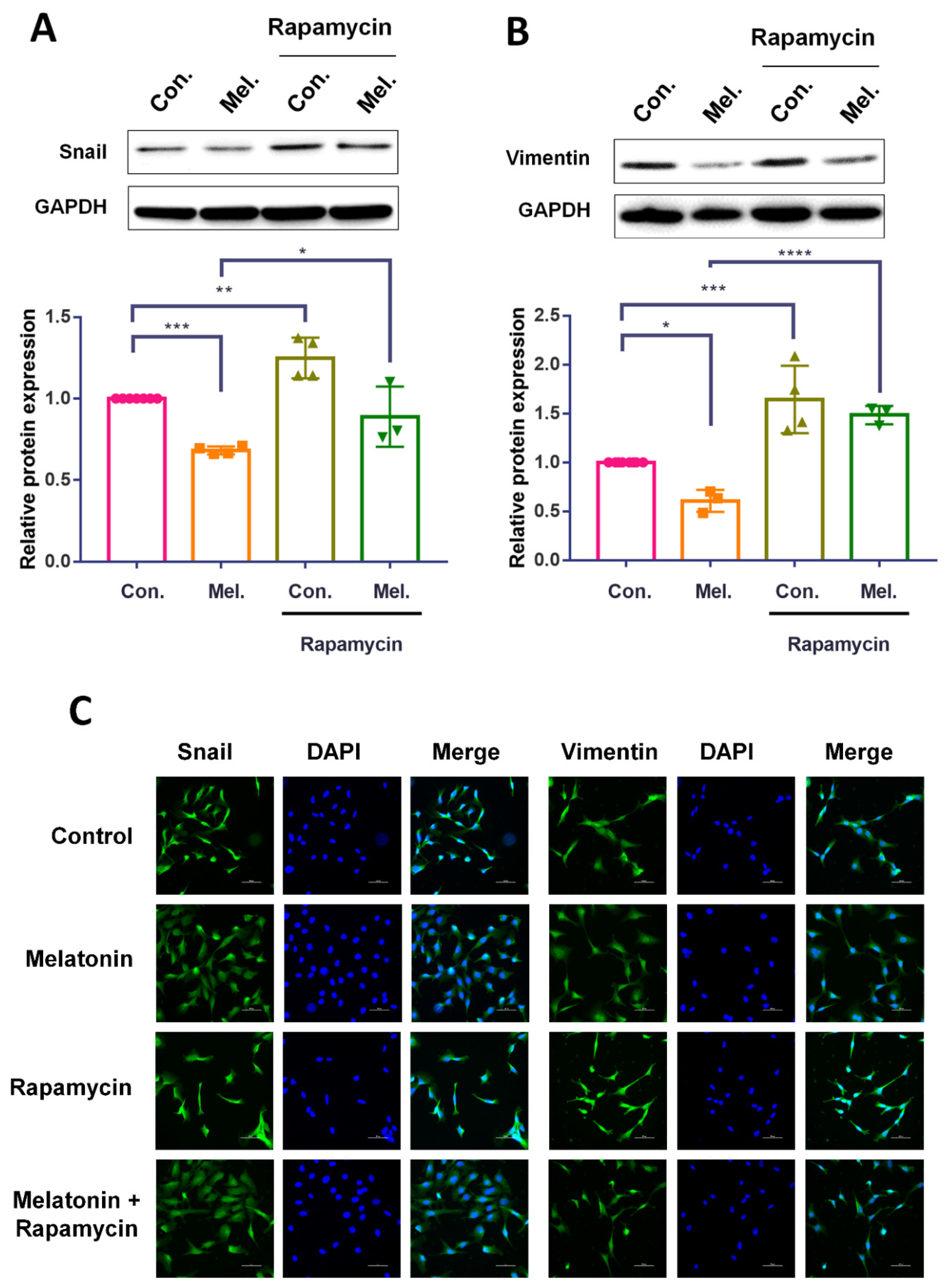Molecules 27 08649 g005
