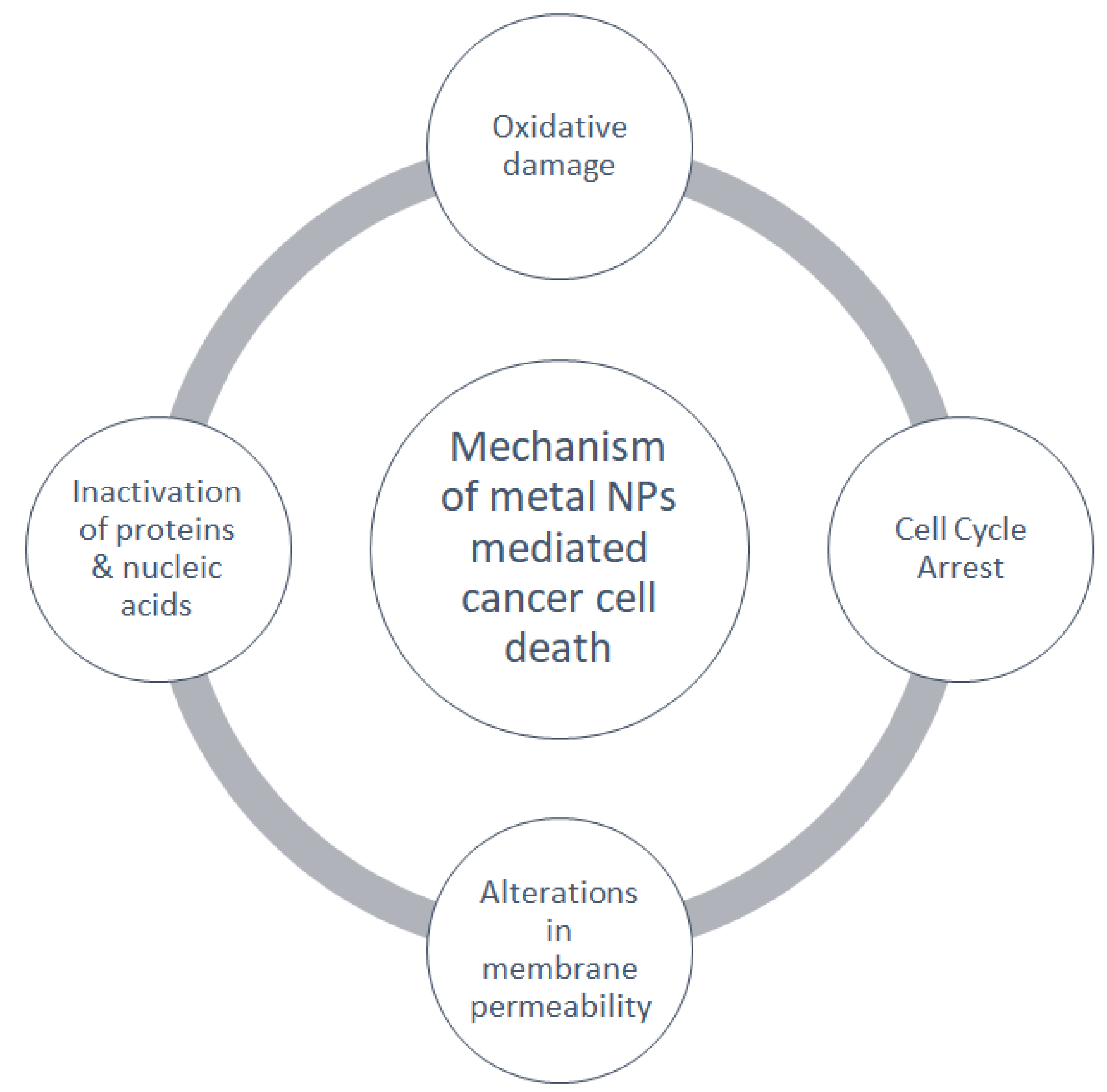 Molecules 27 08659 g006 Molecules 27 08659 g006