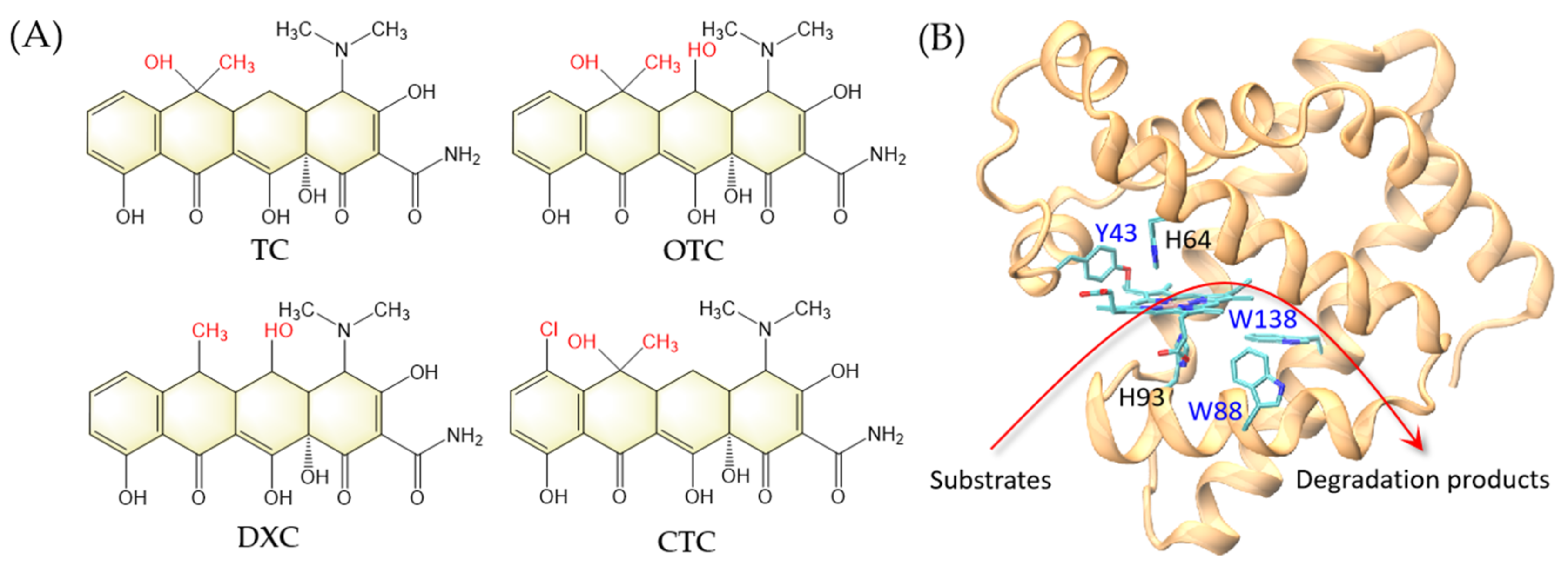 Molecules 27 08660 g001 Molecules 27 08660 g001