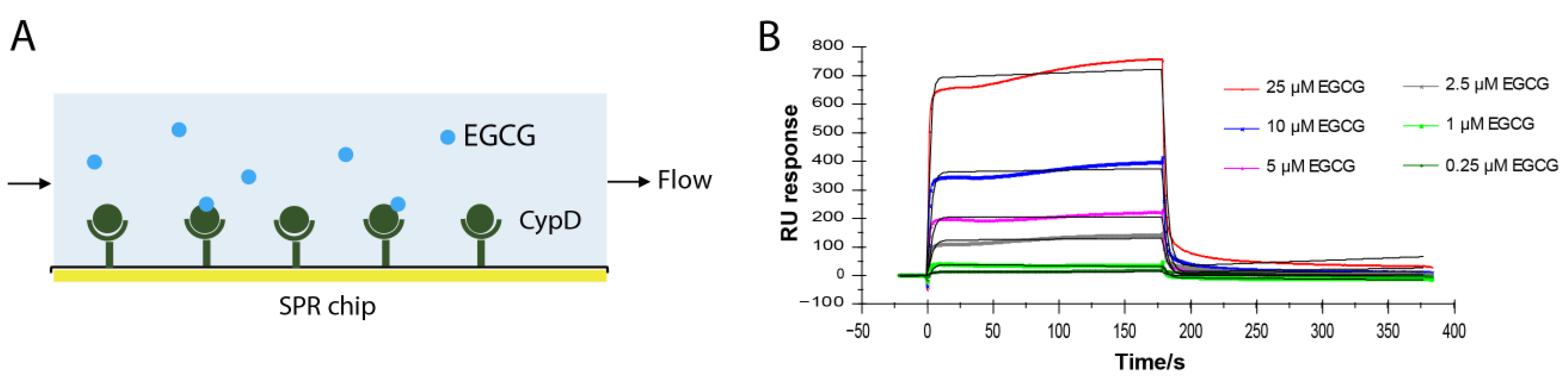 Molecules 27 08661 g001