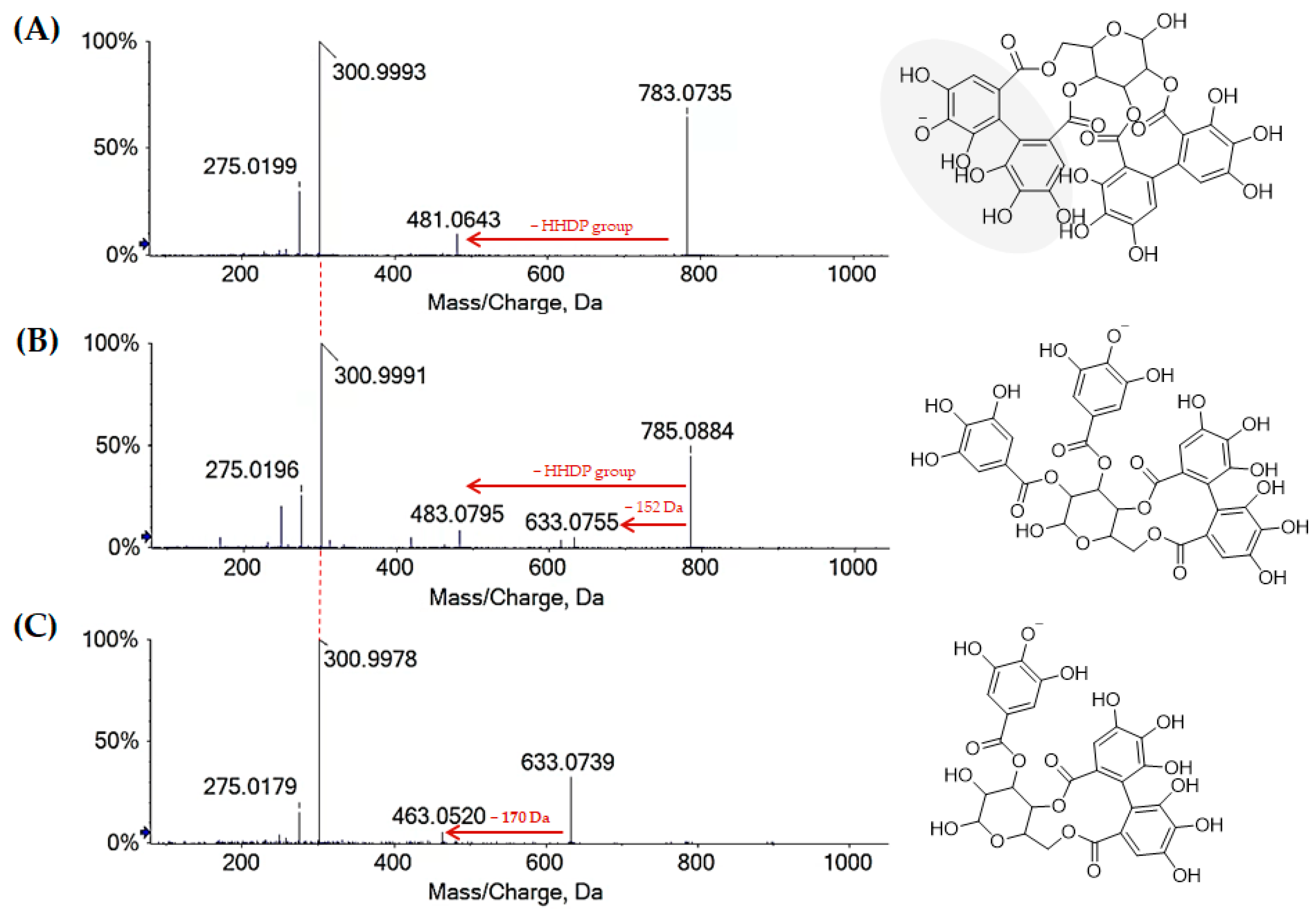 Molecules 27 08662 g004