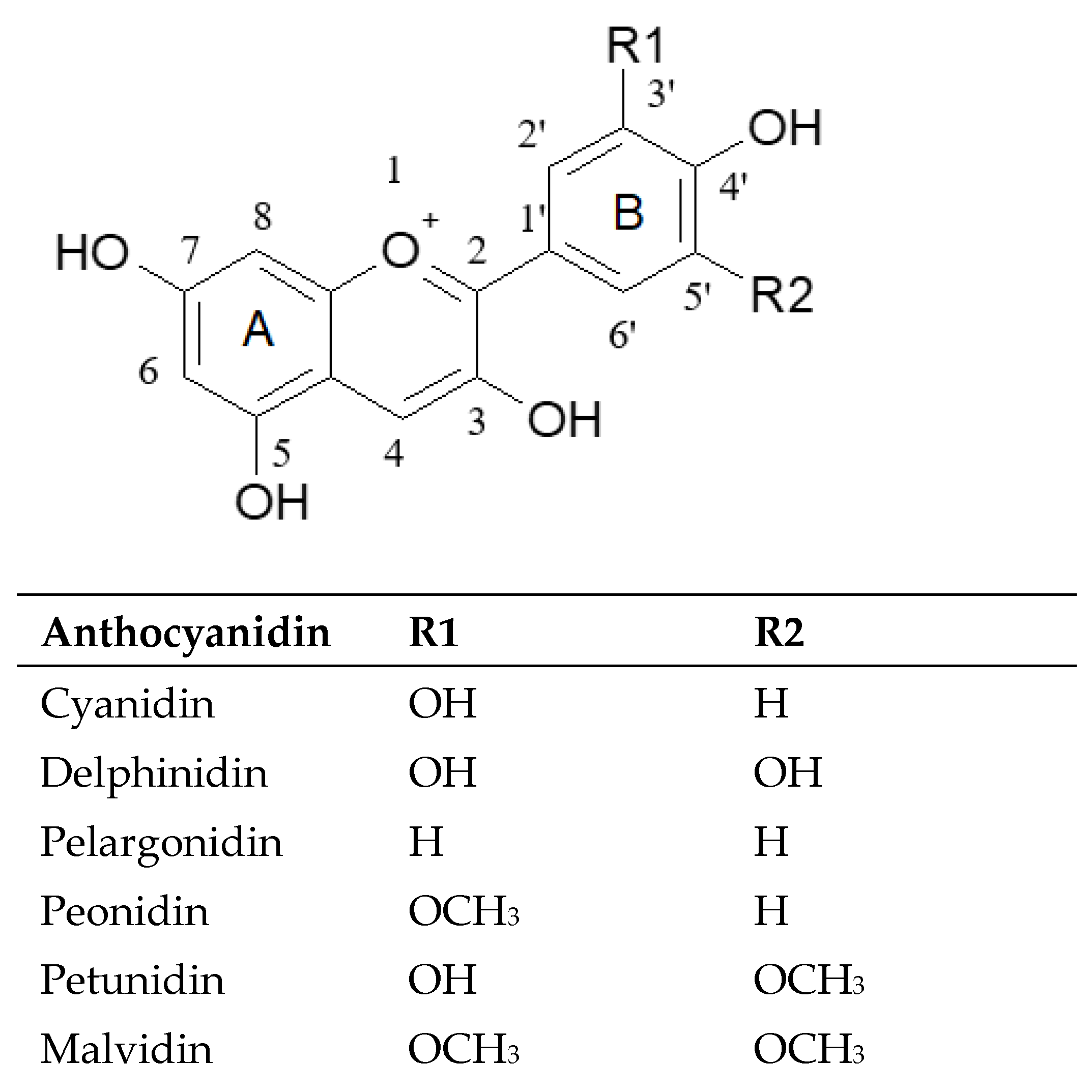 Molecules 27 08675 g001