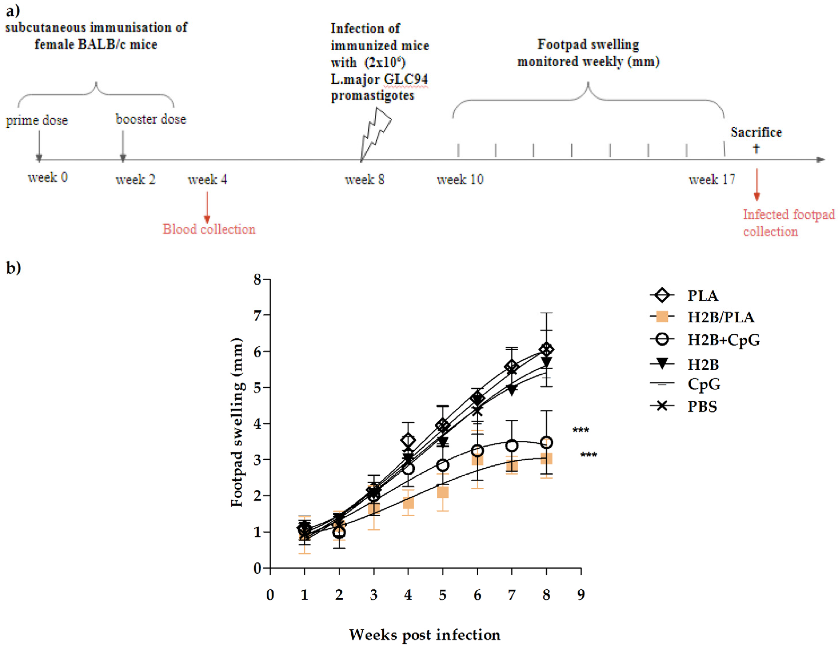 Molecules 27 08677 g007