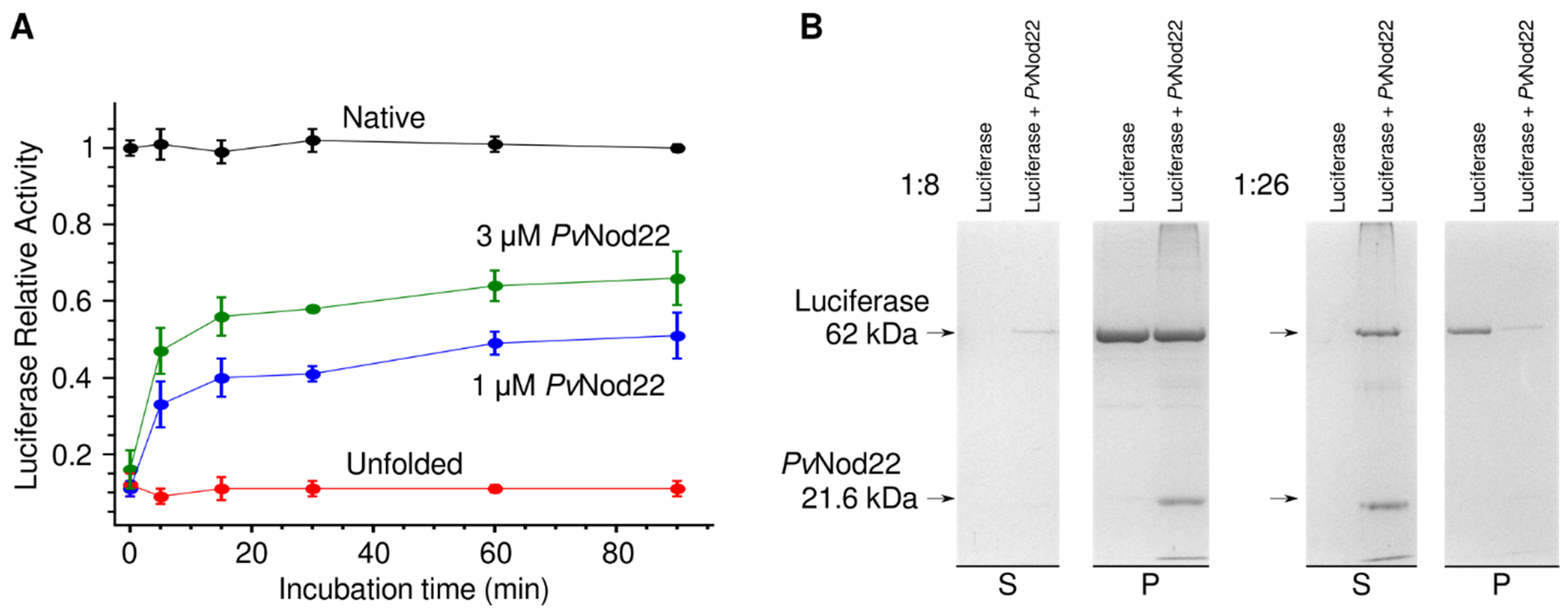 Molecules 27 08681 g002