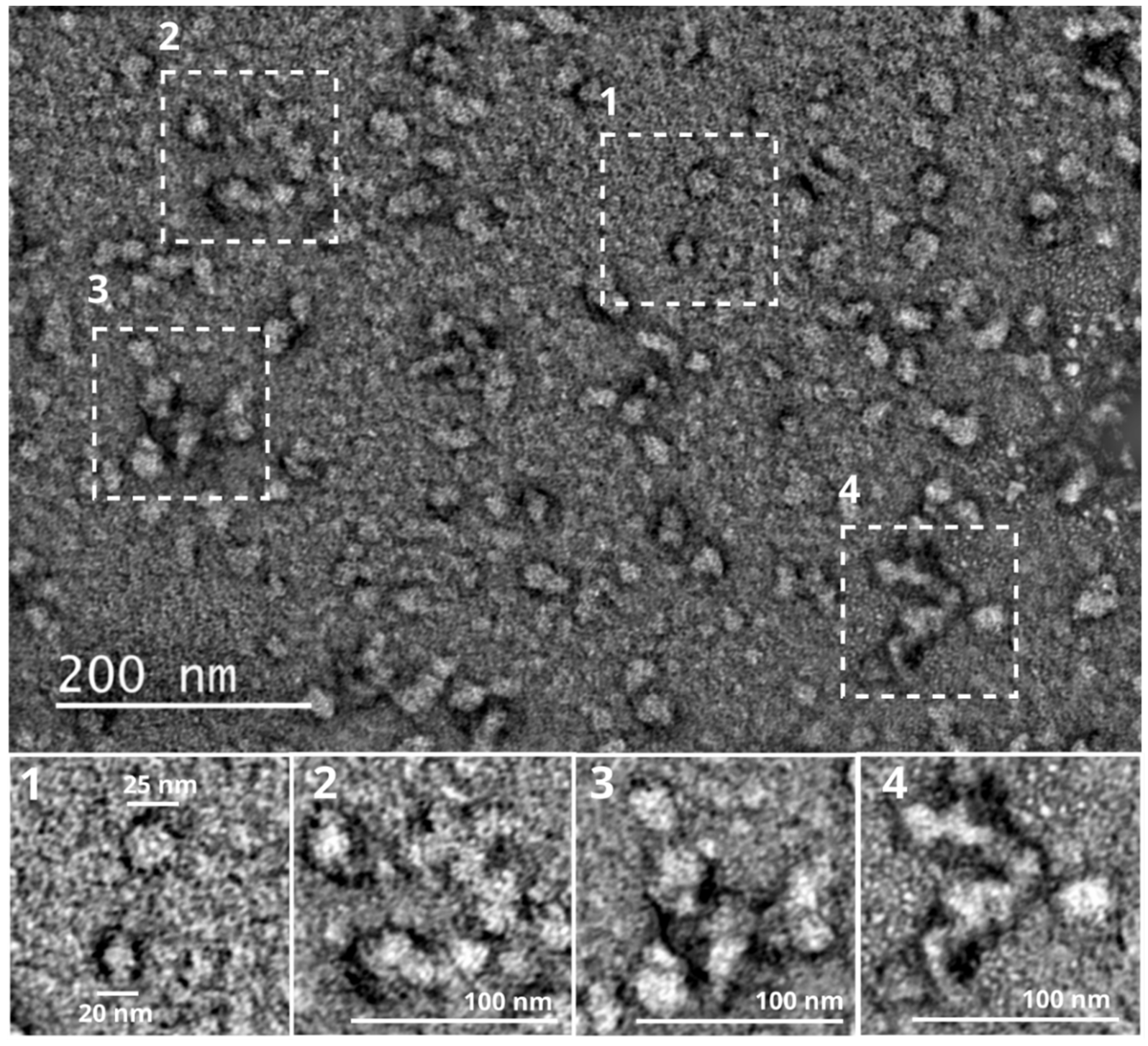 Molecules 27 08681 g003