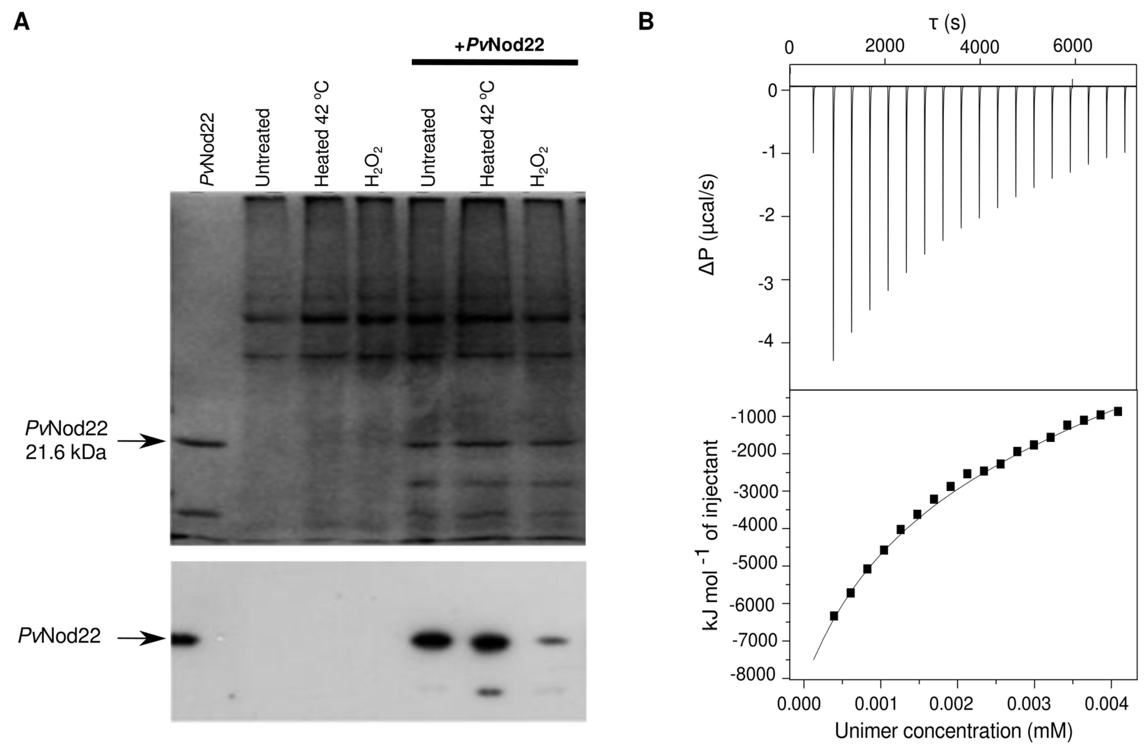 Molecules 27 08681 g005