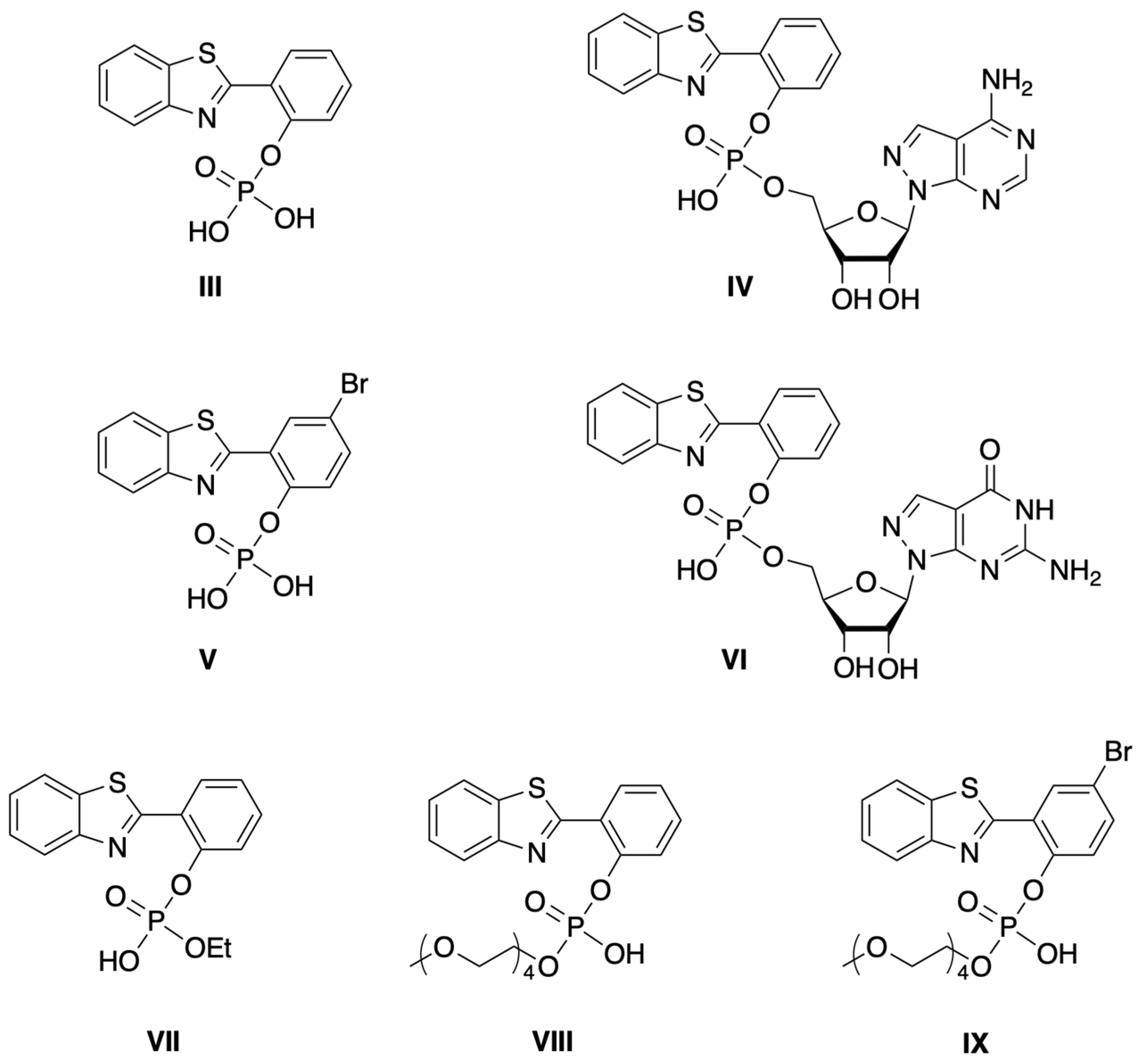 Molecules 27 08682 g003 Molecules 27 08682 g003