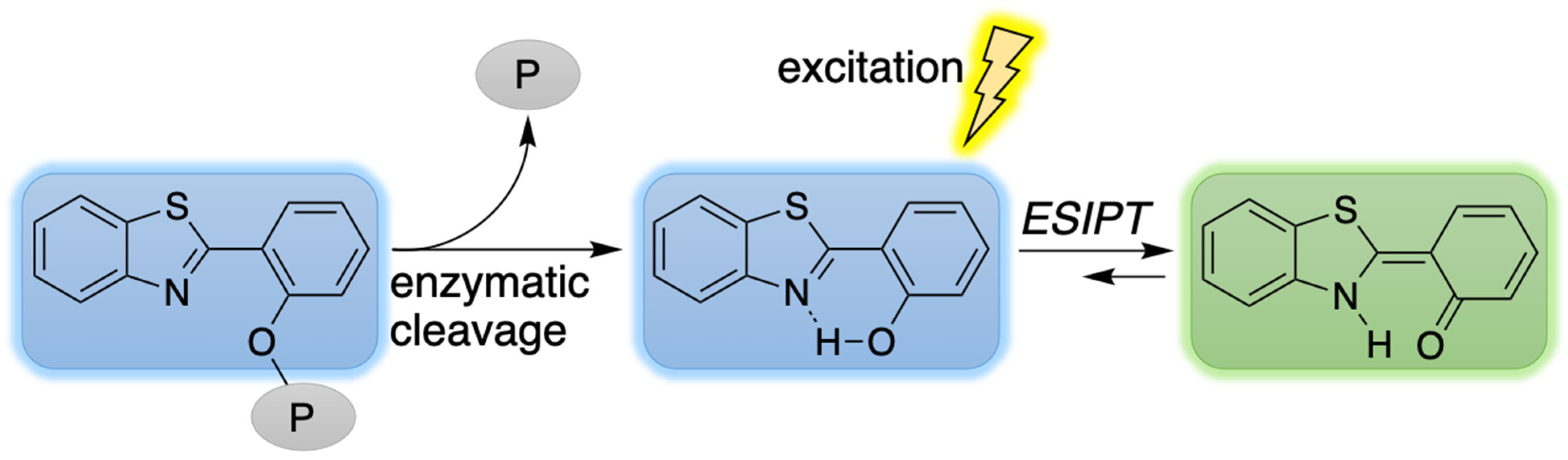 Molecules 27 08682 g004 Molecules 27 08682 g004