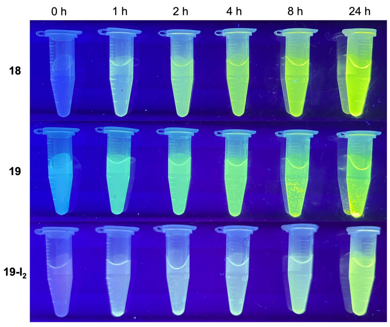 Molecules 27 08682 g008 Molecules 27 08682 g008