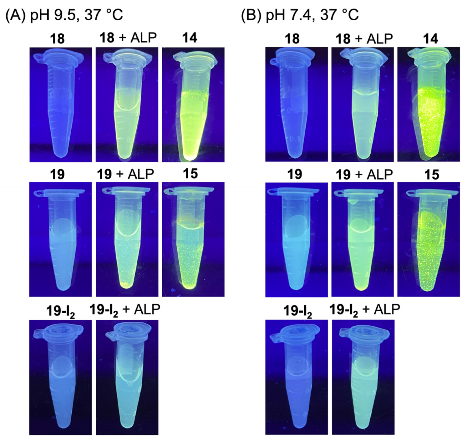 Molecules 27 08682 g009 Molecules 27 08682 g009