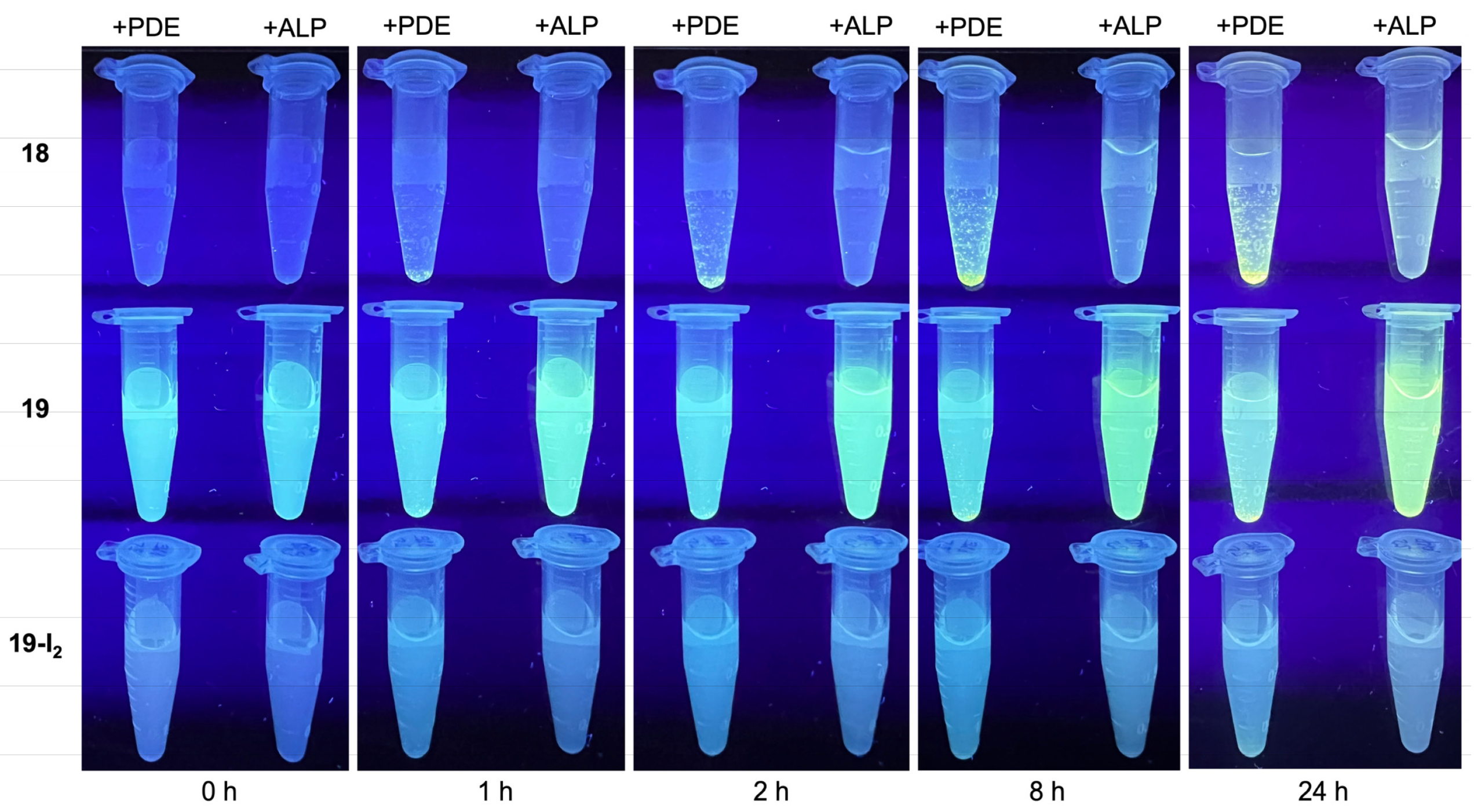 Molecules 27 08682 g0a3 Molecules 27 08682 g0a3