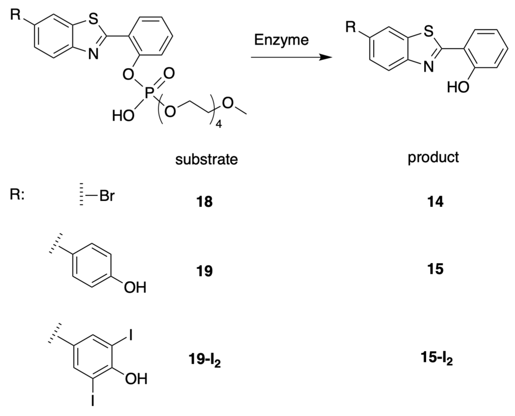 Molecules 27 08682 sch007 Molecules 27 08682 sch007
