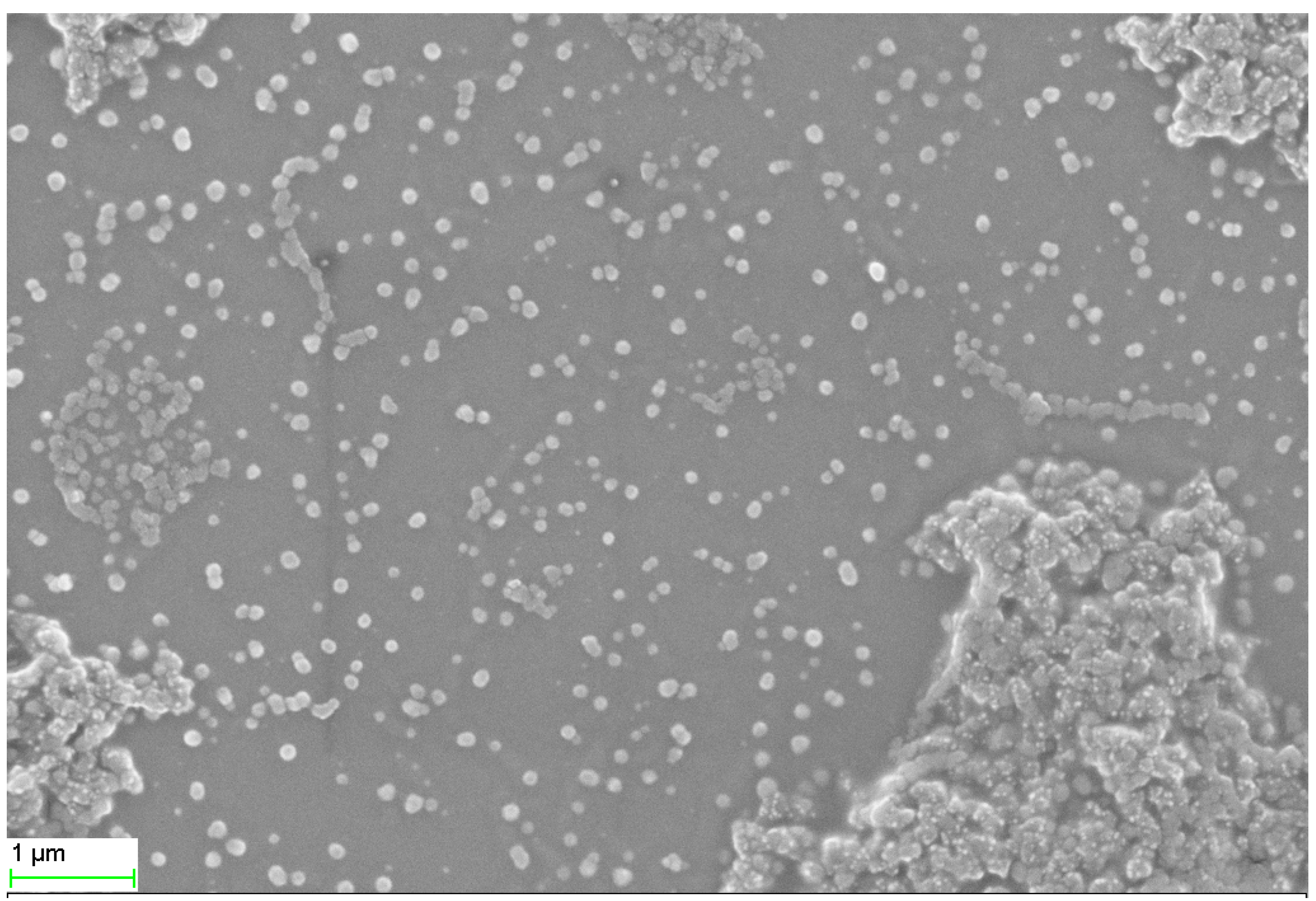 Molecules 27 08685 g001 Molecules 27 08685 g001