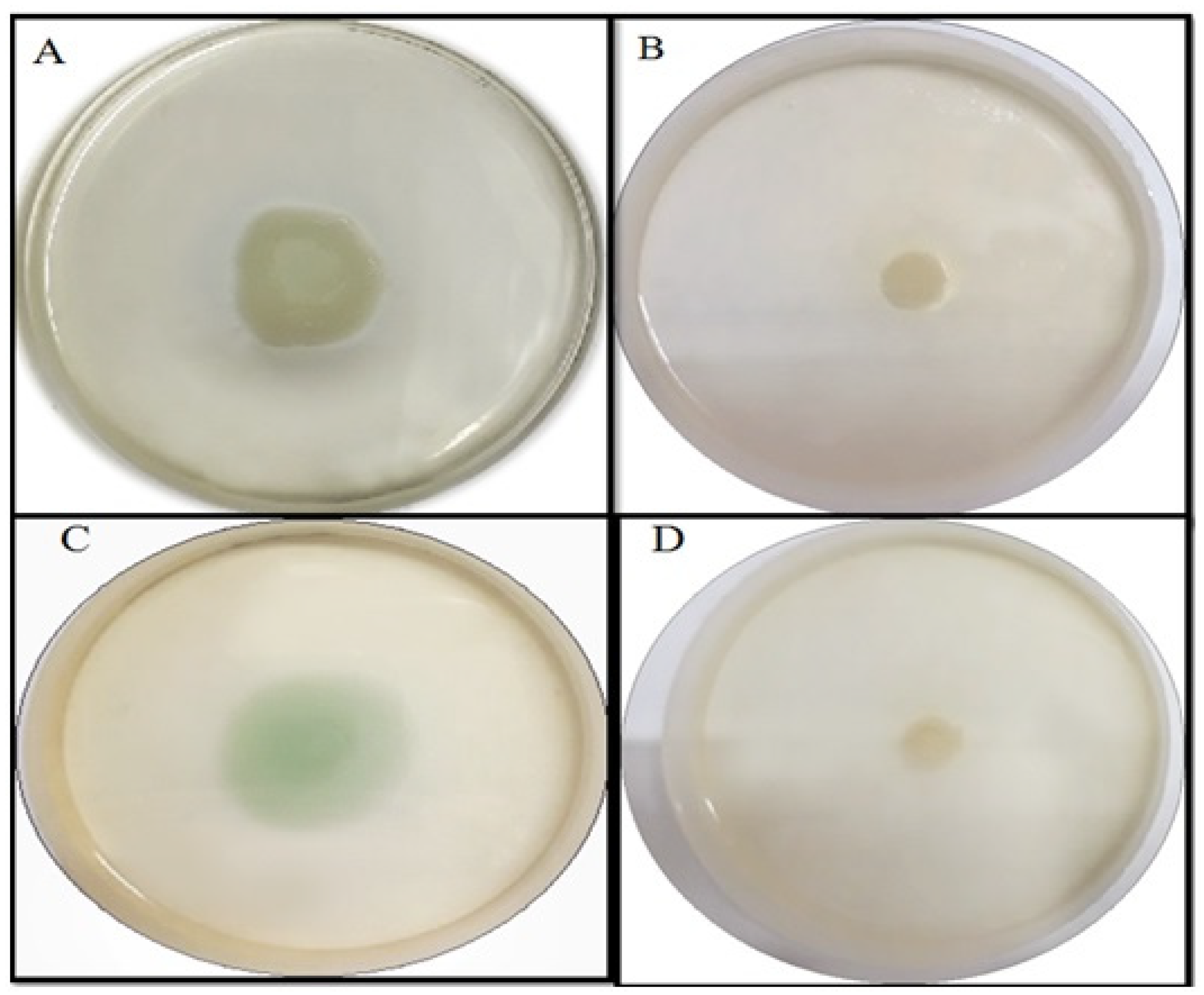Molecules 27 08685 g008 Molecules 27 08685 g008