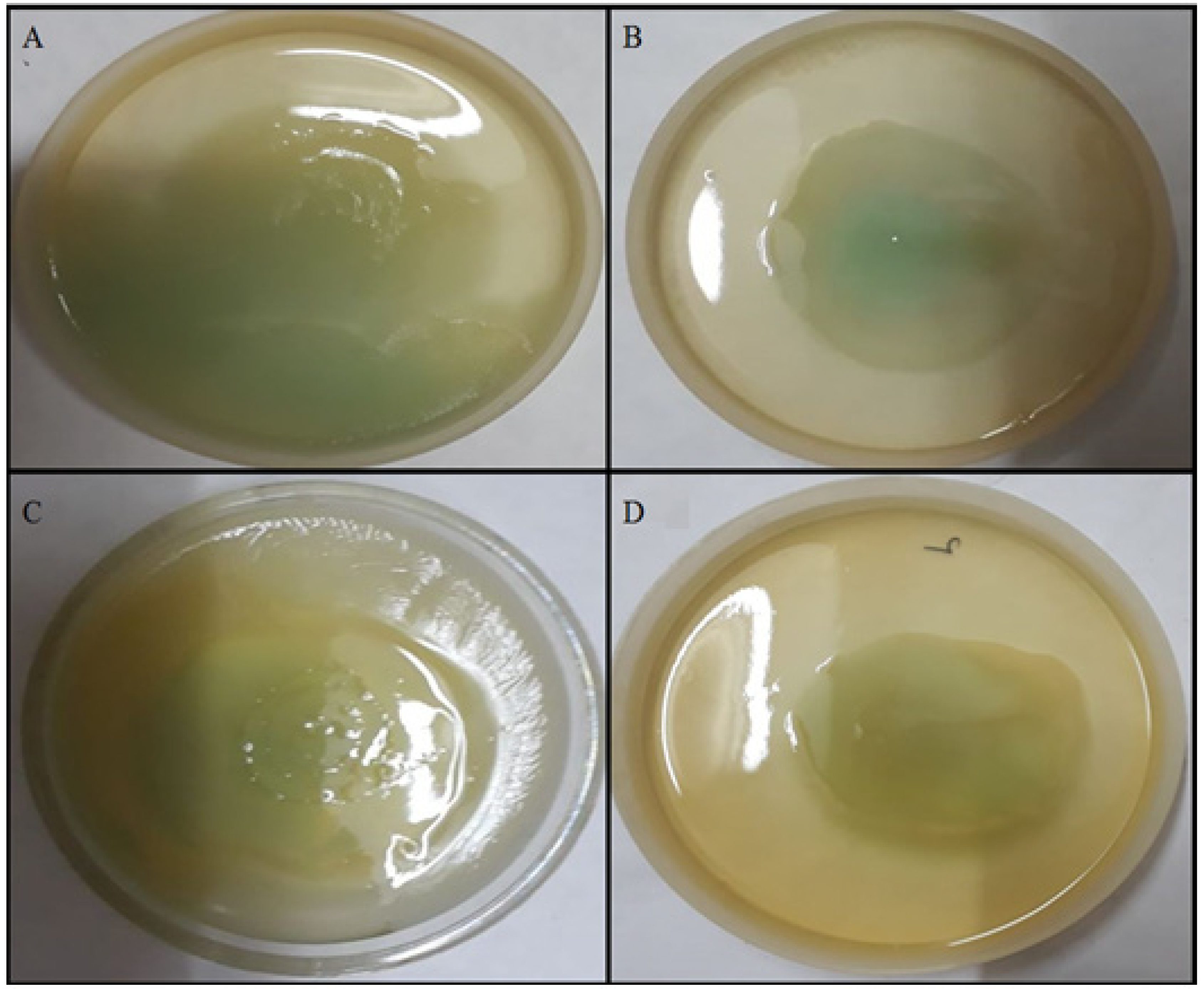 Molecules 27 08685 g009 Molecules 27 08685 g009