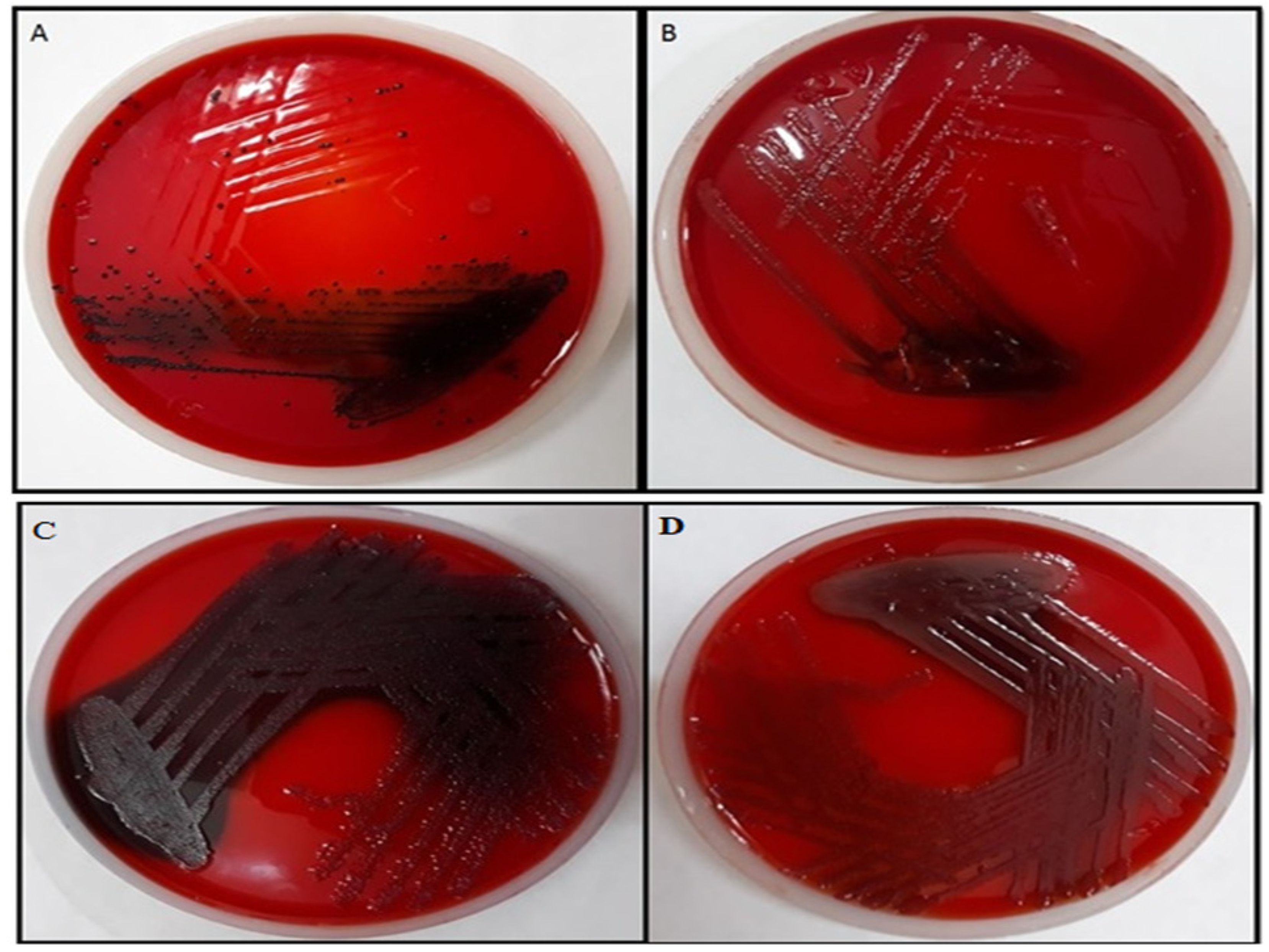 Molecules 27 08685 g011 Molecules 27 08685 g011