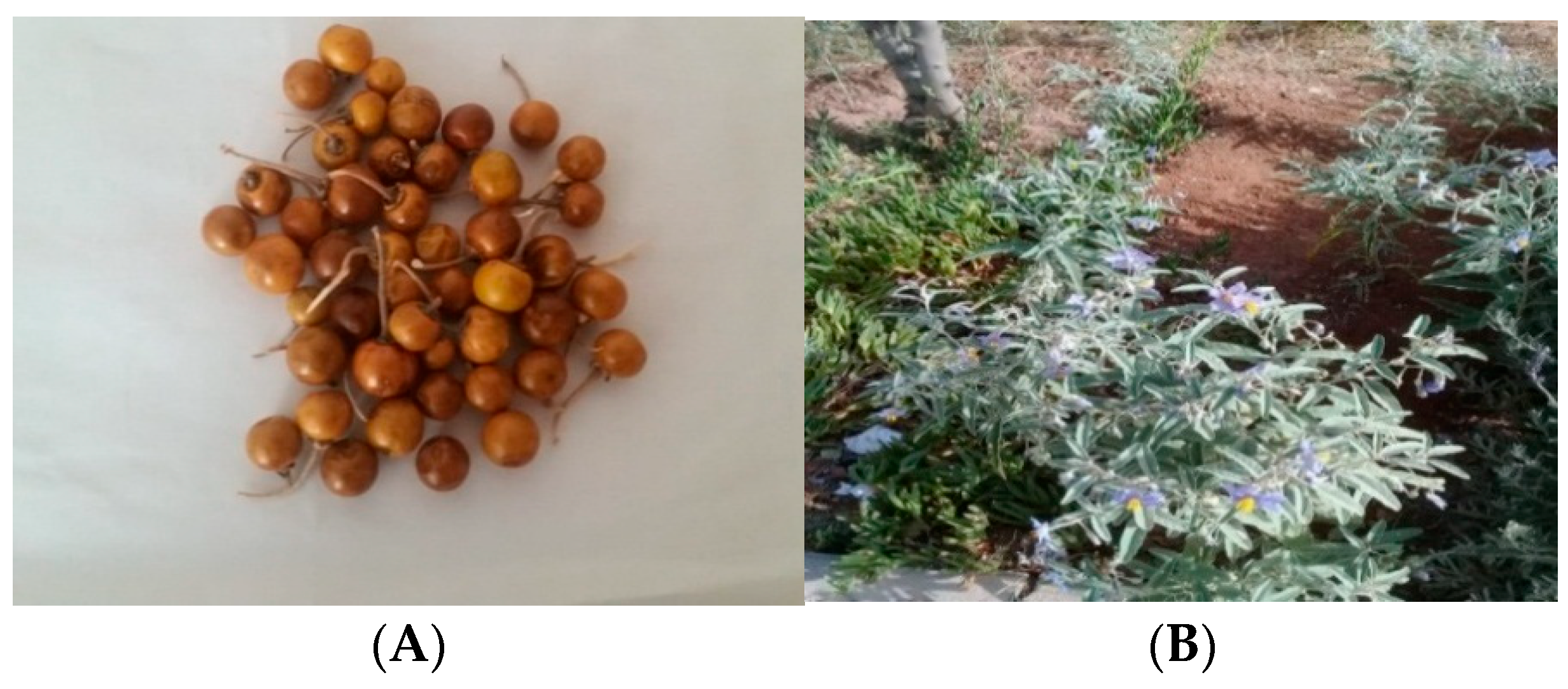 Molecules 27 08688 g001