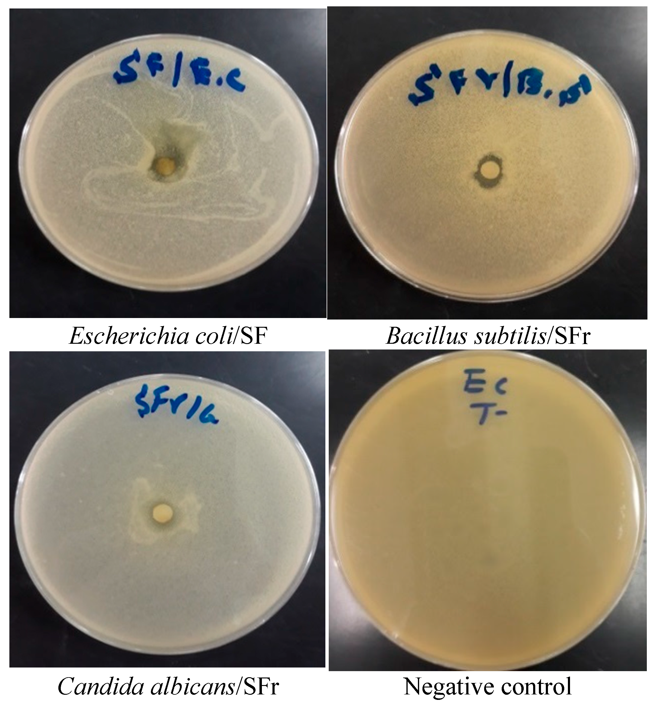 Molecules 27 08688 g004