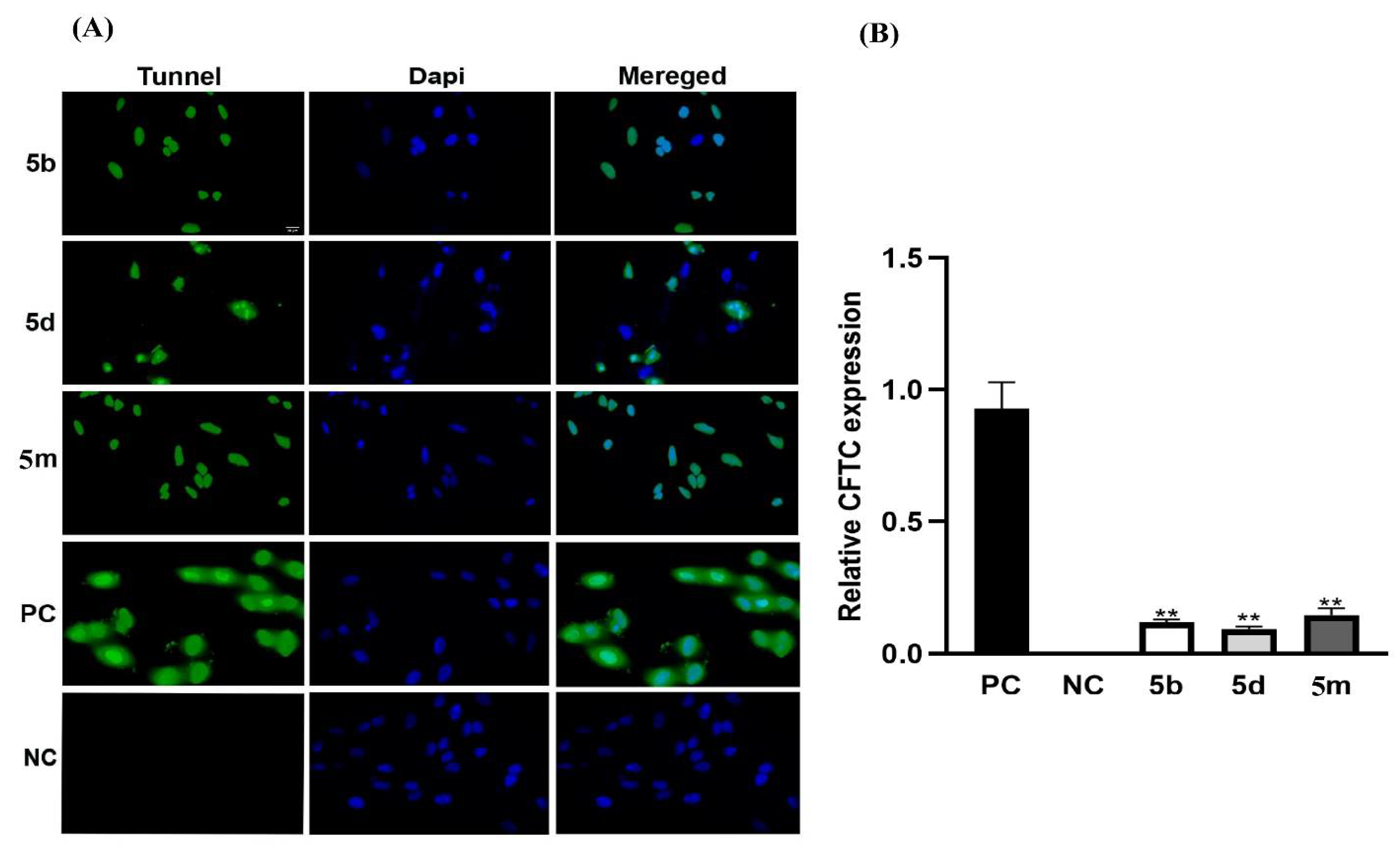 Molecules 27 08694 g009 Molecules 27 08694 g009