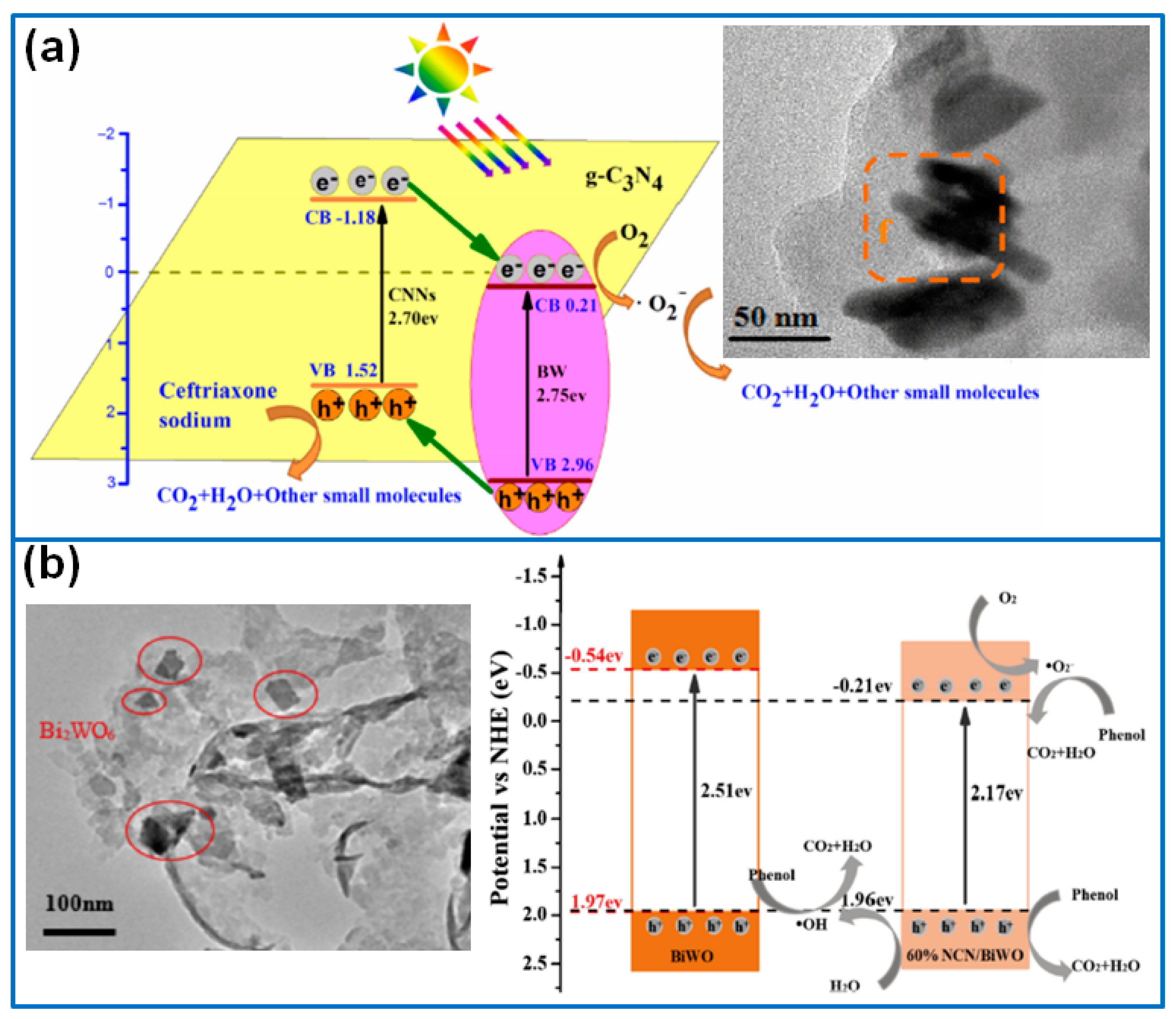 Molecules 27 08698 g004