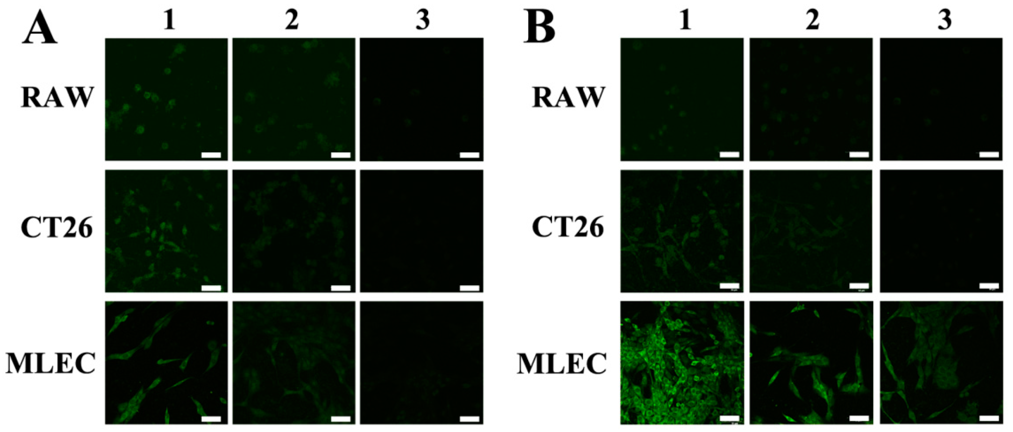Molecules 27 08704 g003 Molecules 27 08704 g003