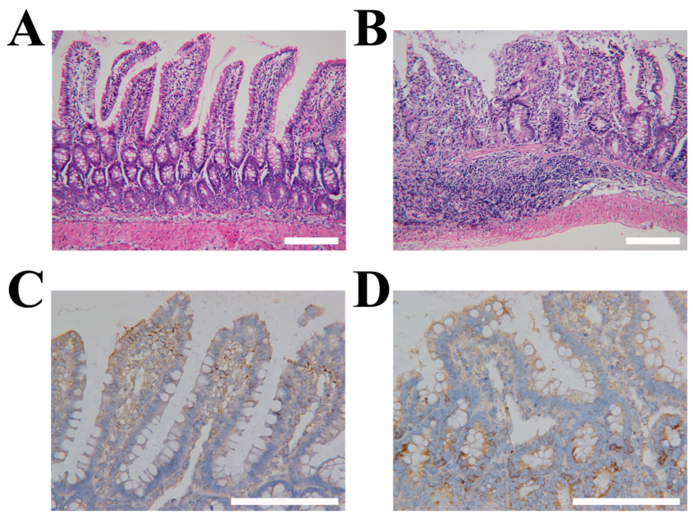Molecules 27 08704 g004 Molecules 27 08704 g004