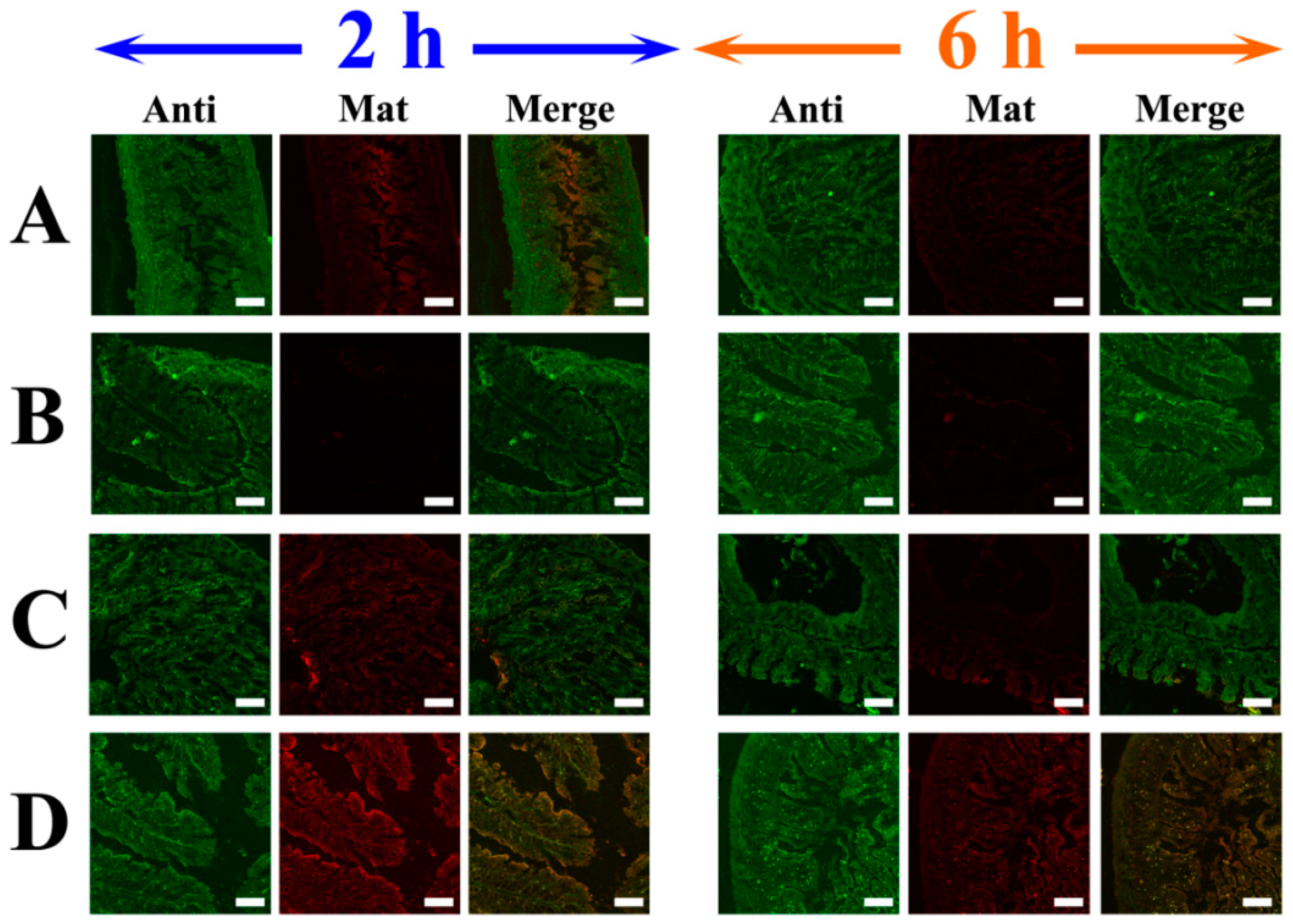 Molecules 27 08704 g005 Molecules 27 08704 g005