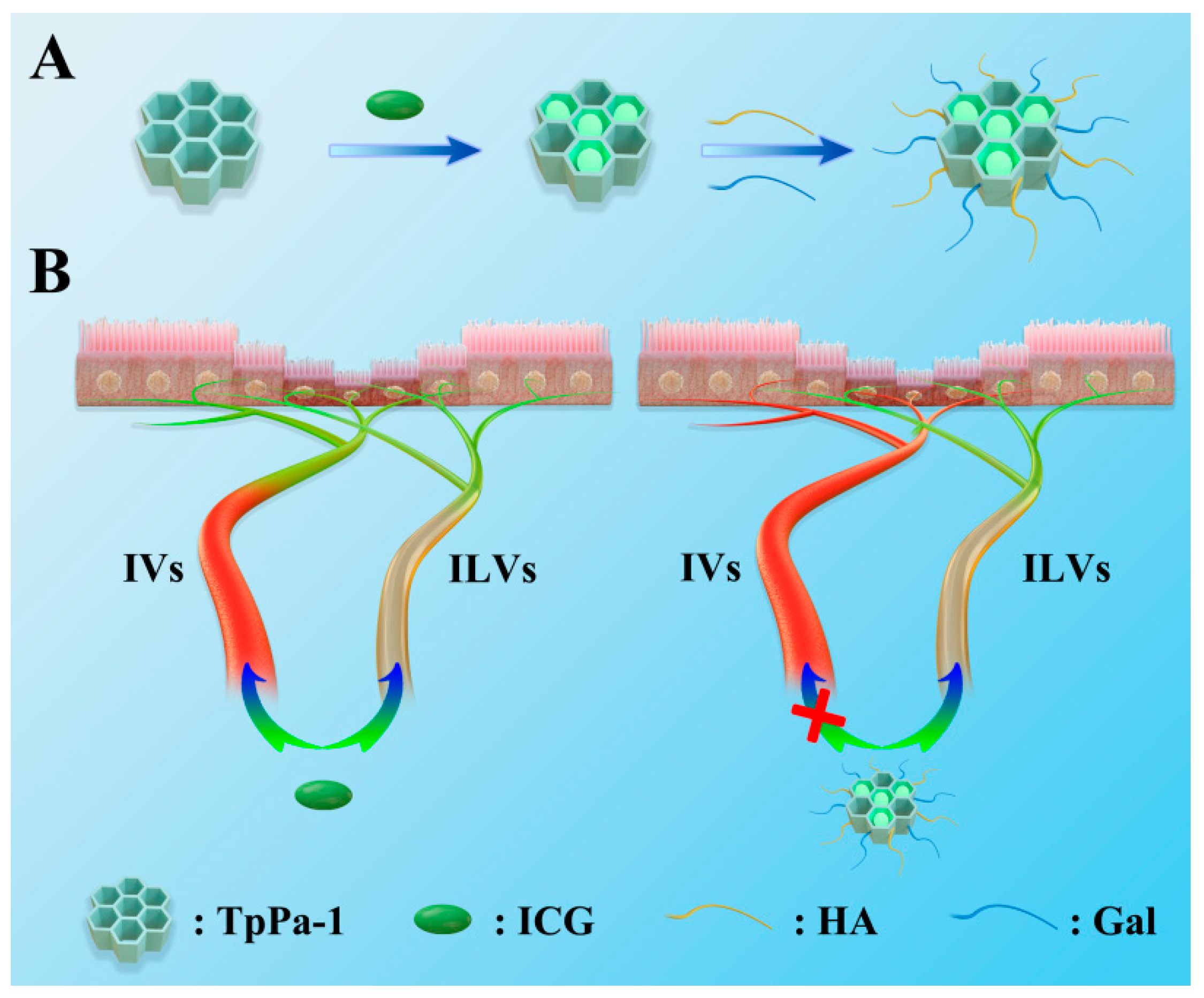 Molecules 27 08704 sch001 Molecules 27 08704 sch001