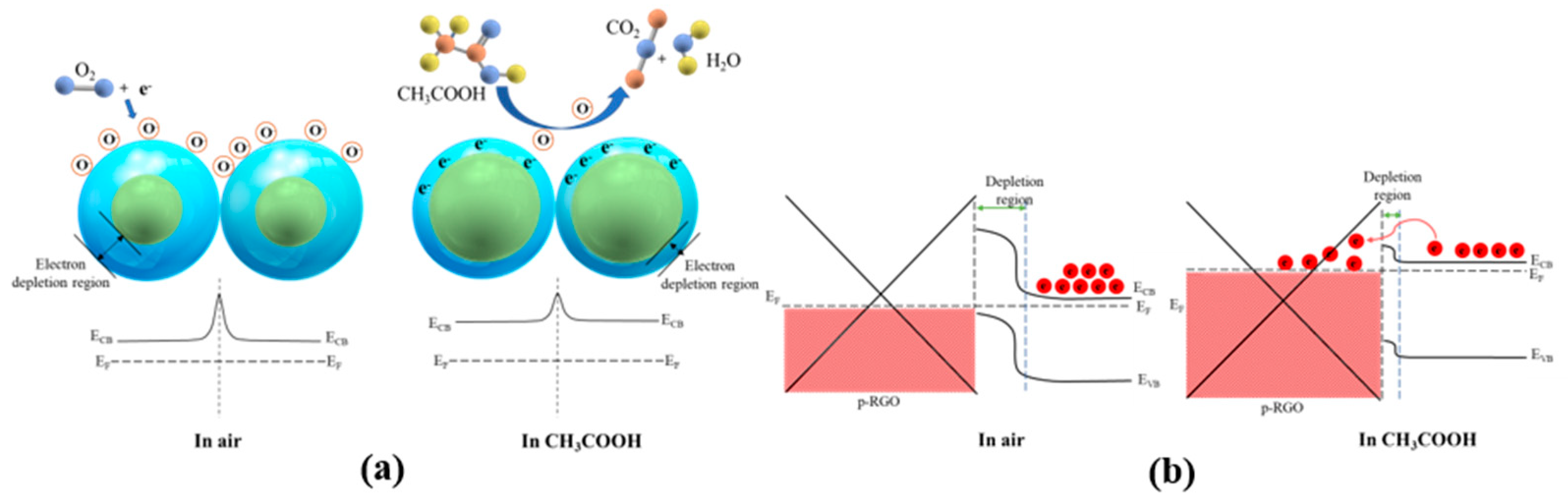 Molecules 27 08707 g010 Molecules 27 08707 g010