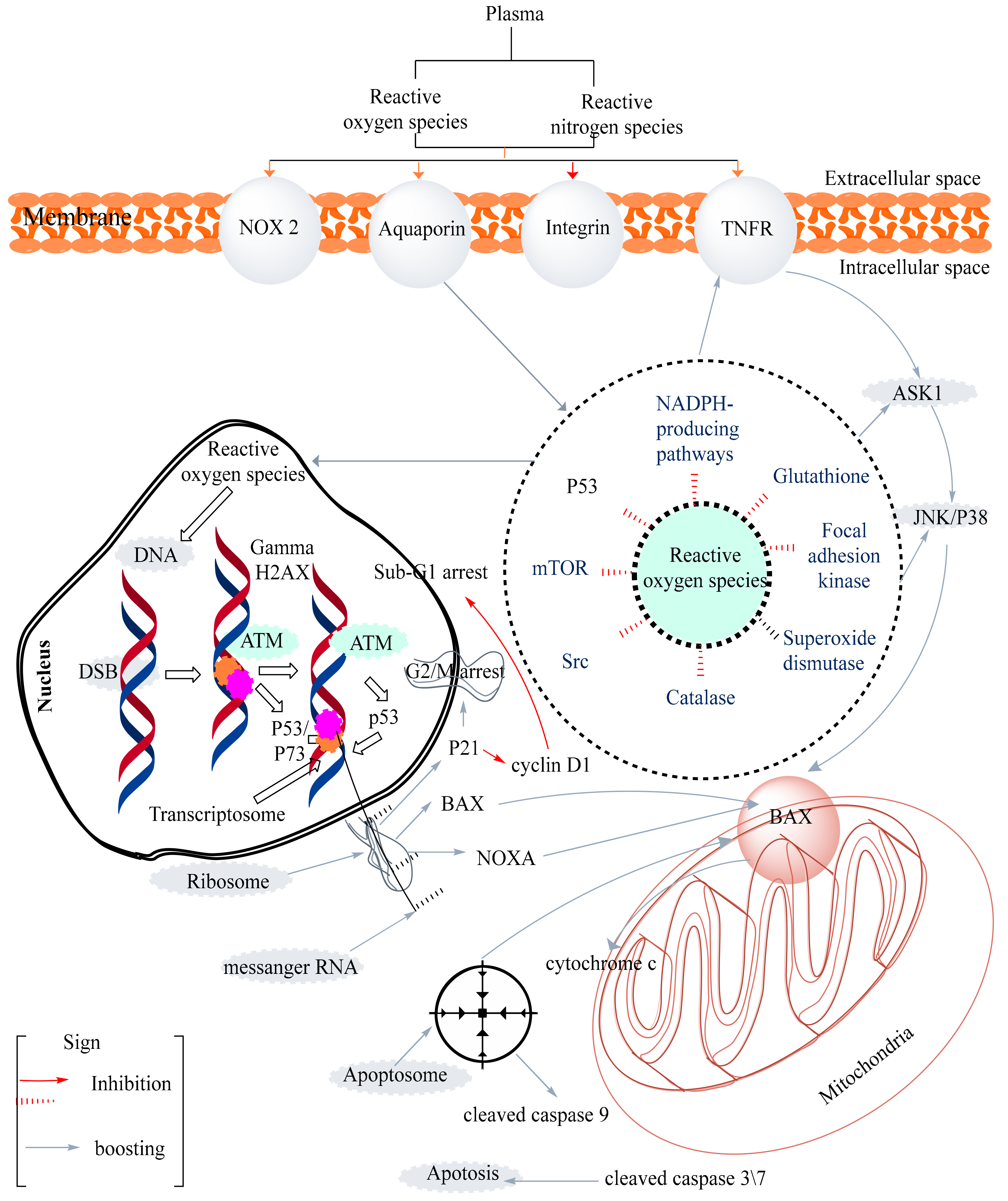 Molecules 27 08708 g002
