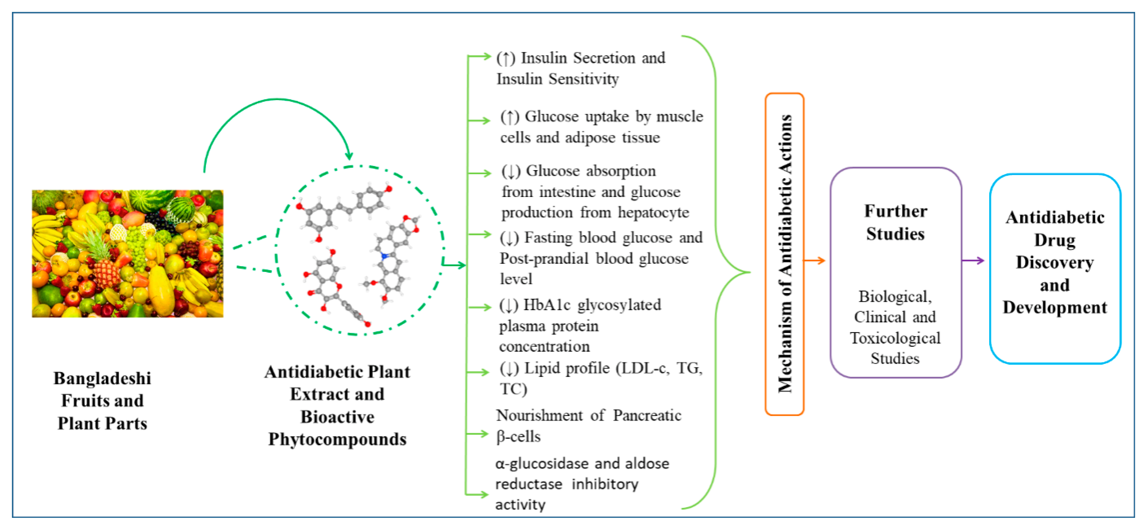 Molecules 27 08709 g002