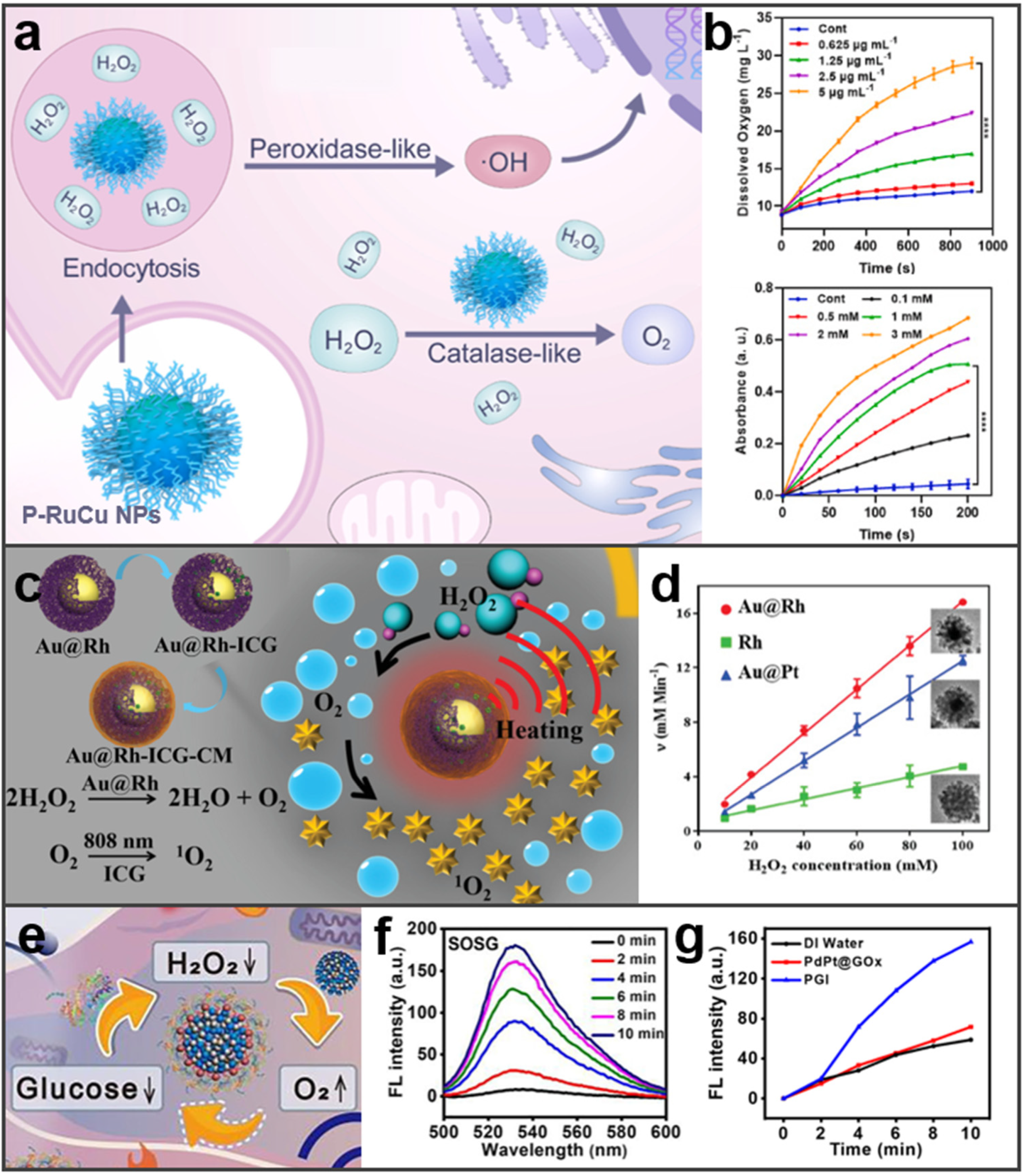 Molecules 27 08712 g005