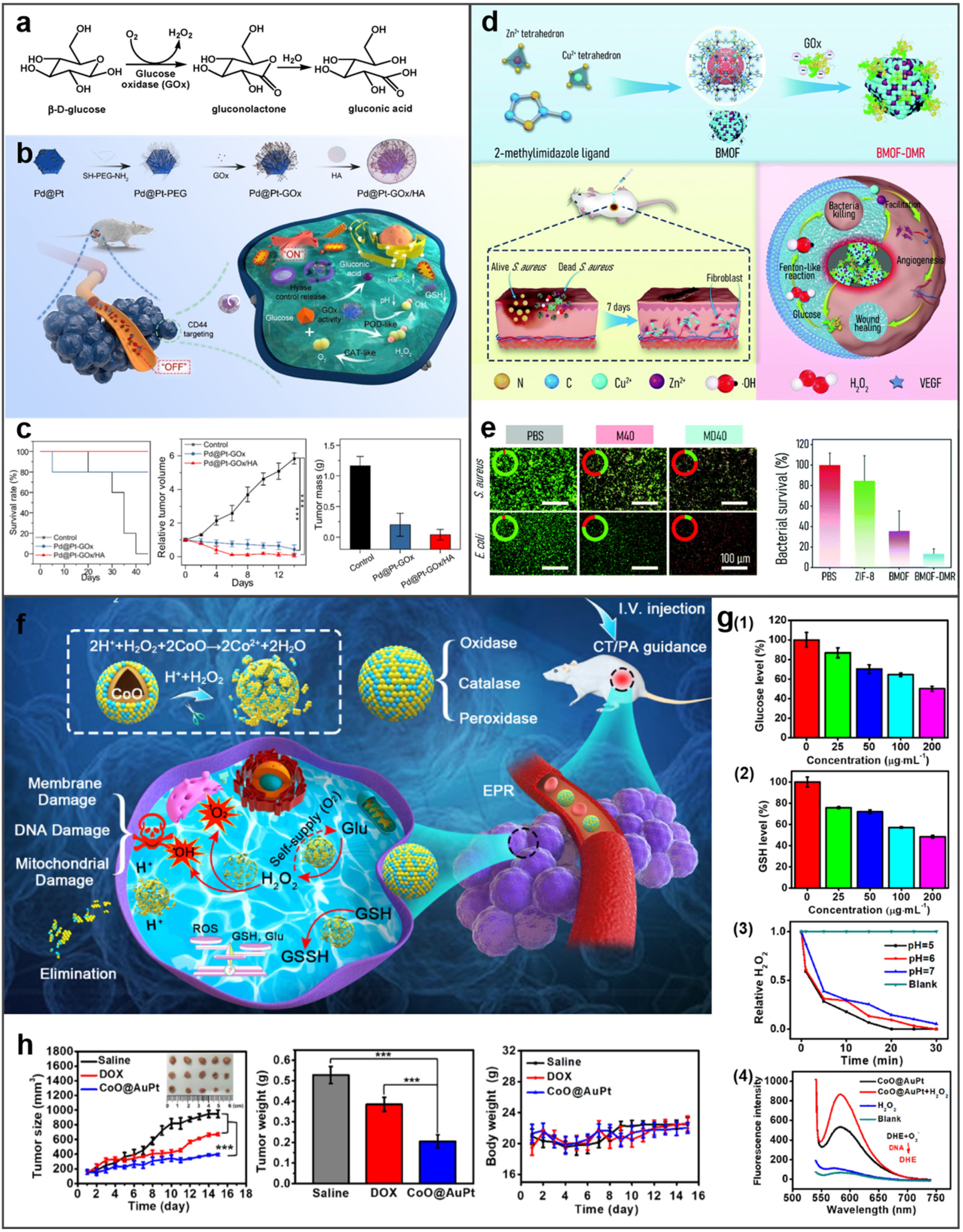 Molecules 27 08712 g008