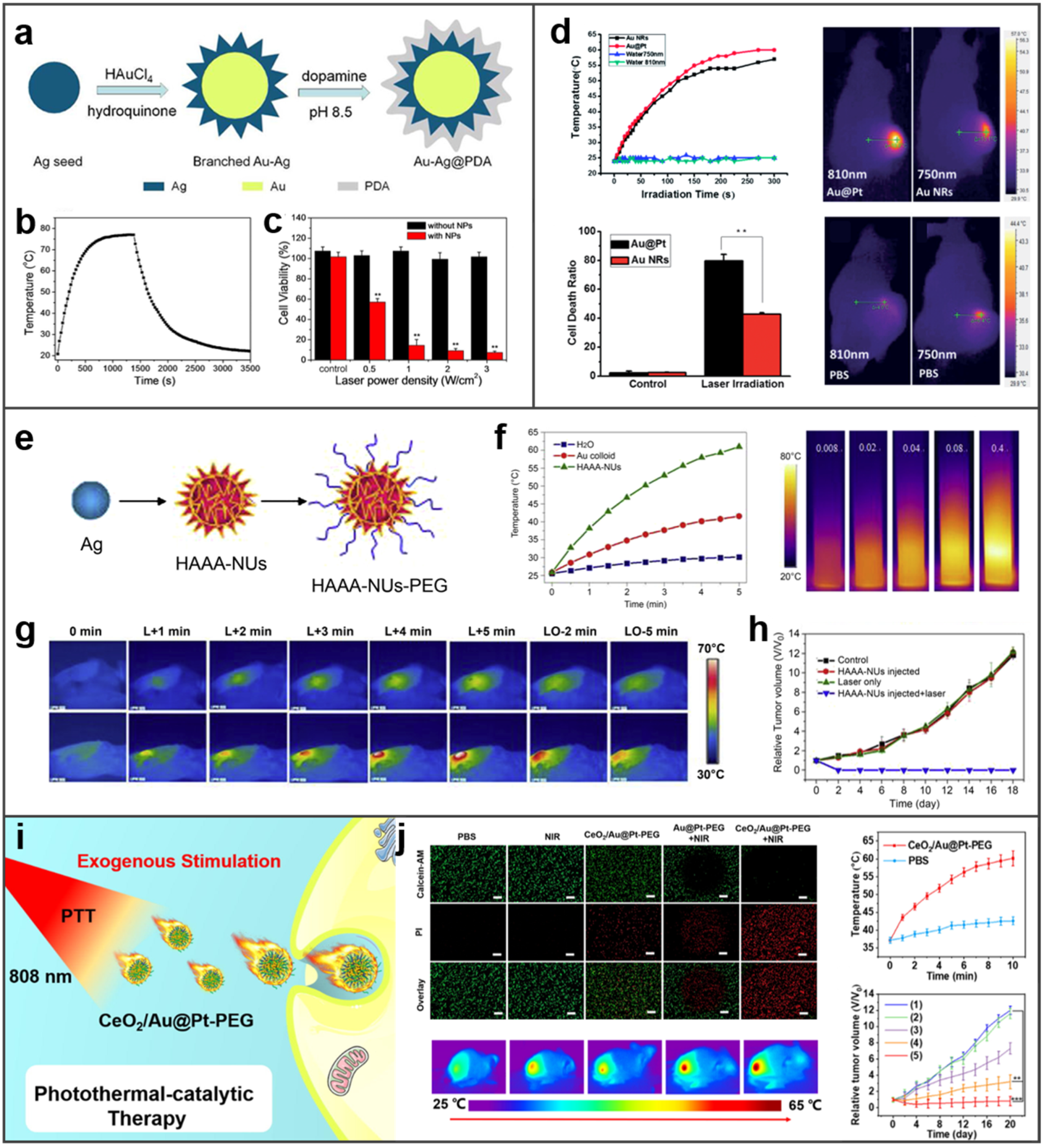 Molecules 27 08712 g011
