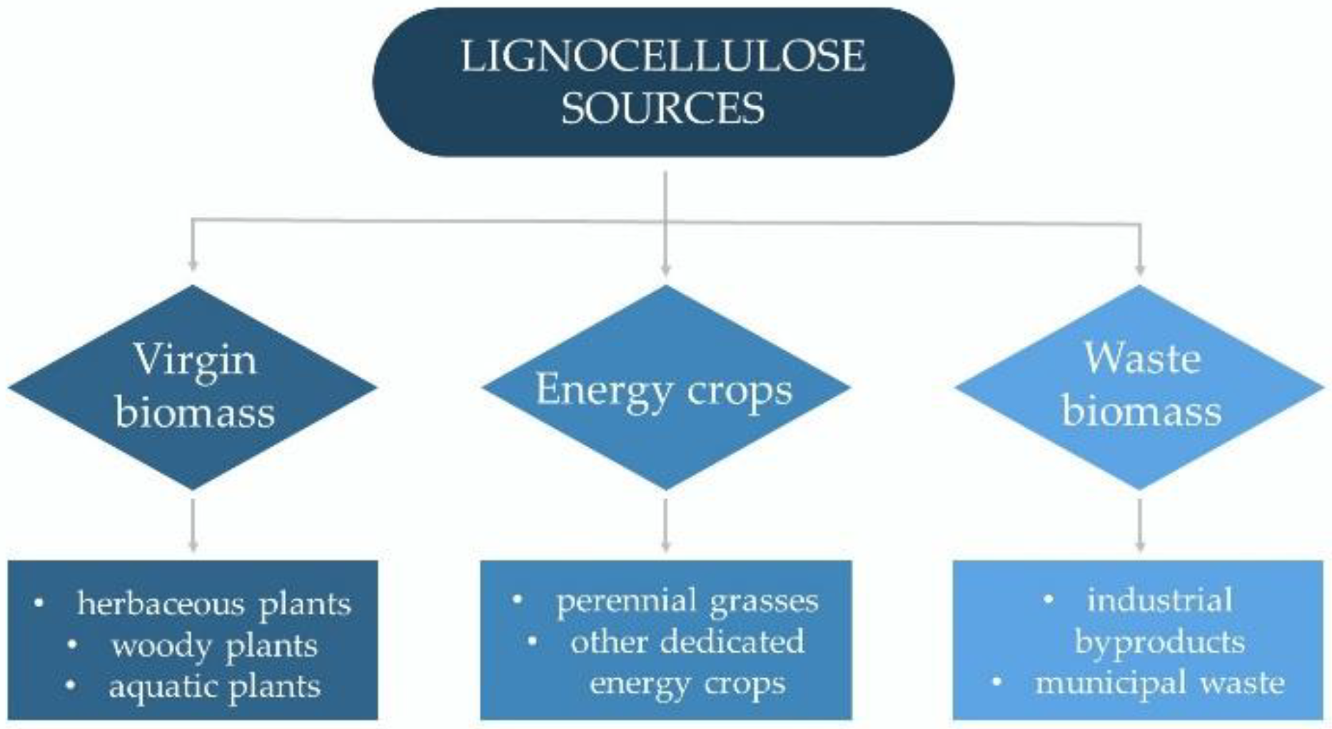 Molecules 27 08717 g004