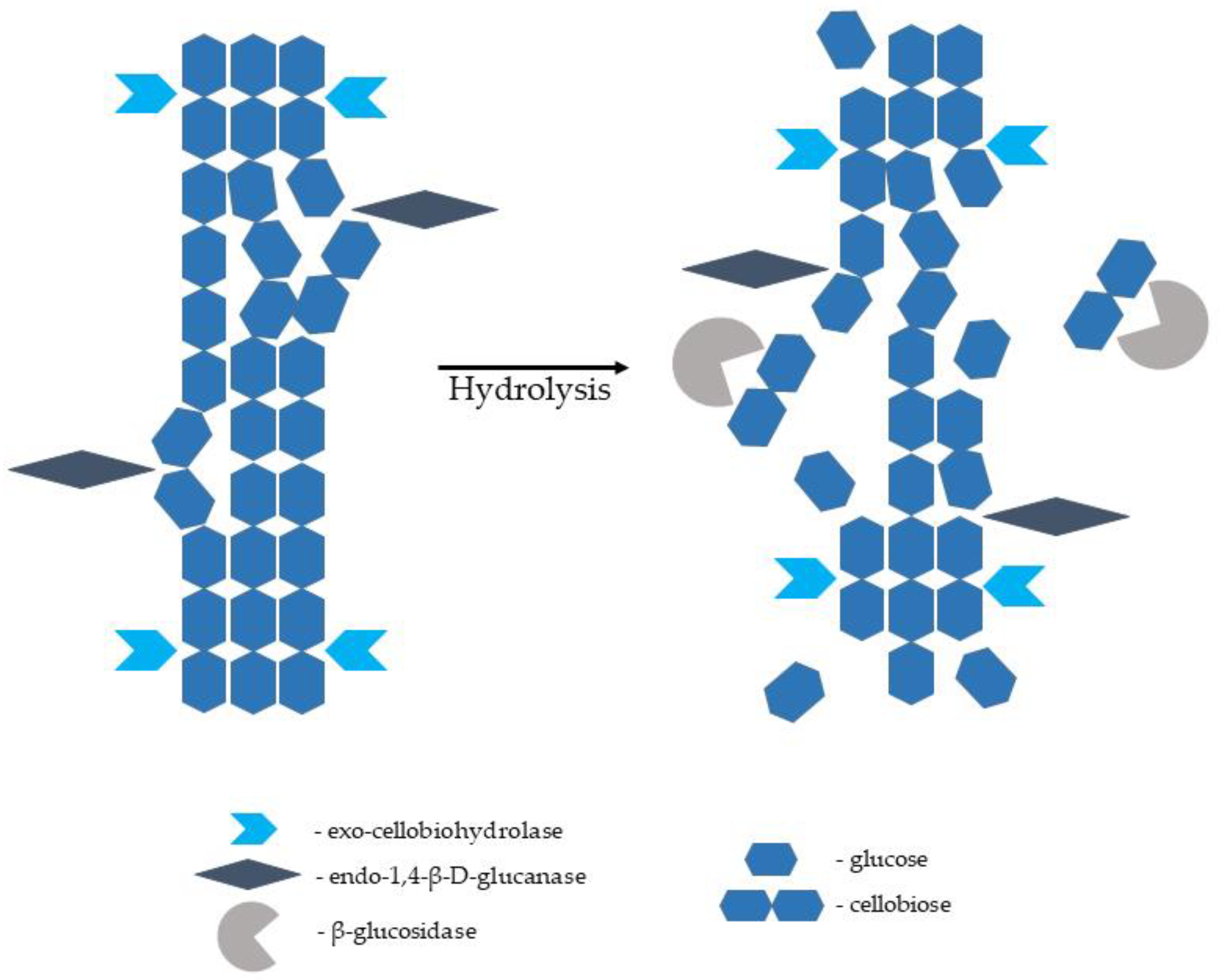Molecules 27 08717 g006