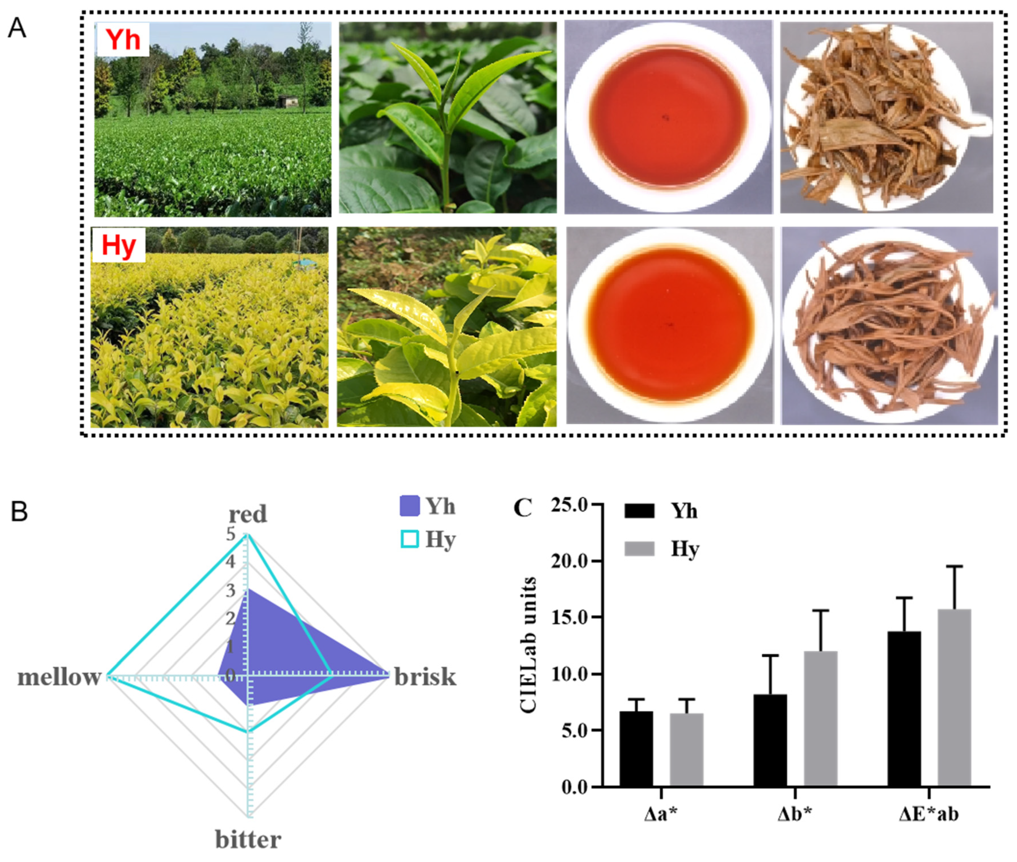 Molecules 27 08720 g002 Molecules 27 08720 g002