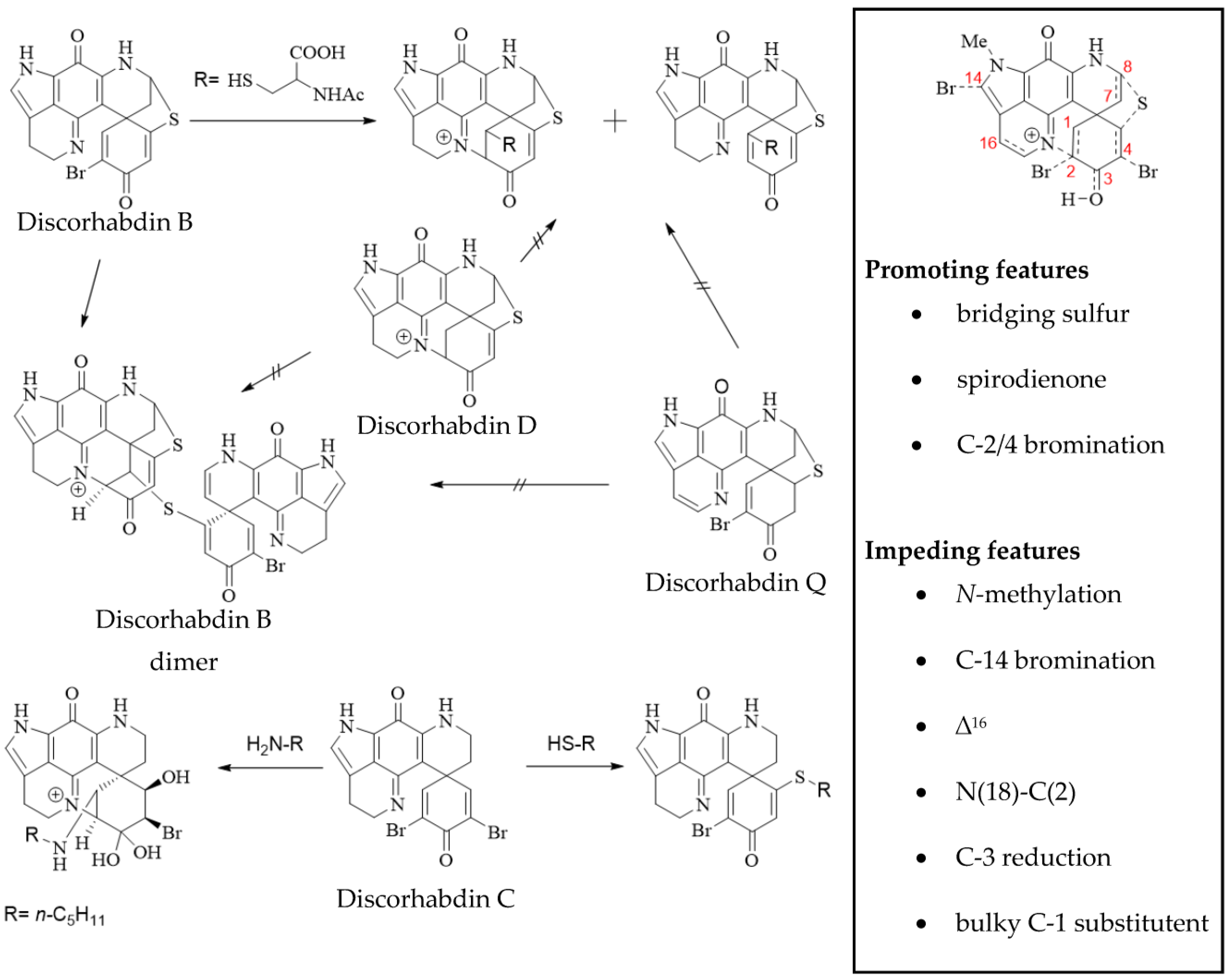 Molecules 27 08724 g007 Molecules 27 08724 g007