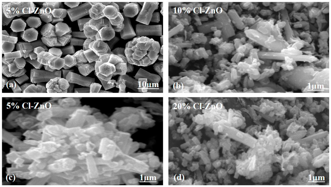 Molecules 27 08726 g002 Molecules 27 08726 g002