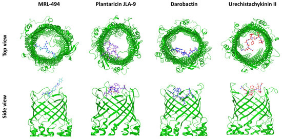 Lin Evaluation of Candidatus Liberibacter Asiaticus Efflux Pump