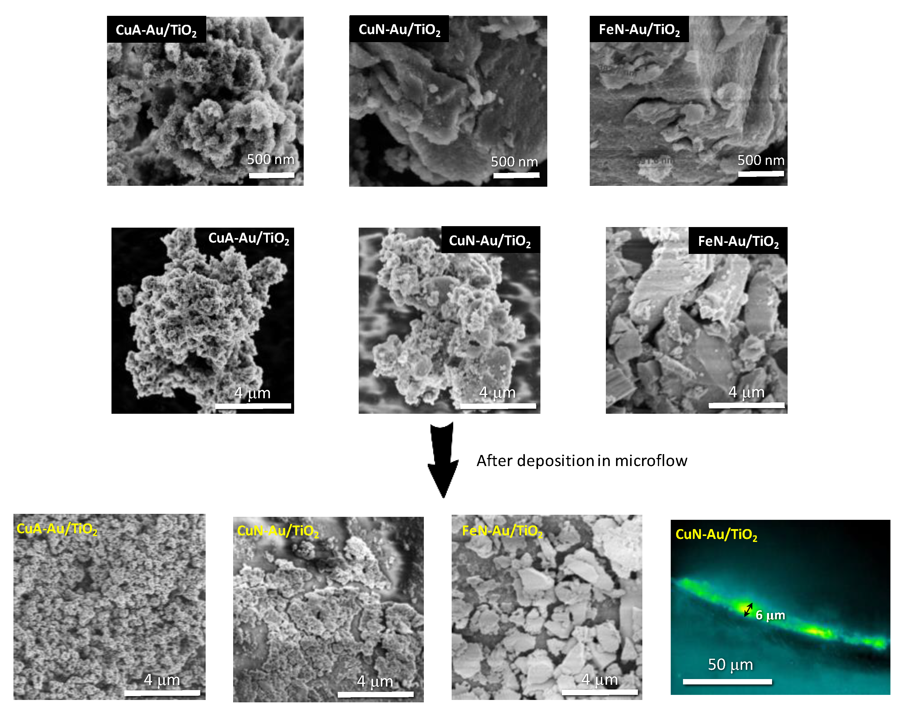 Molecules 27 08731 g006 Molecules 27 08731 g006