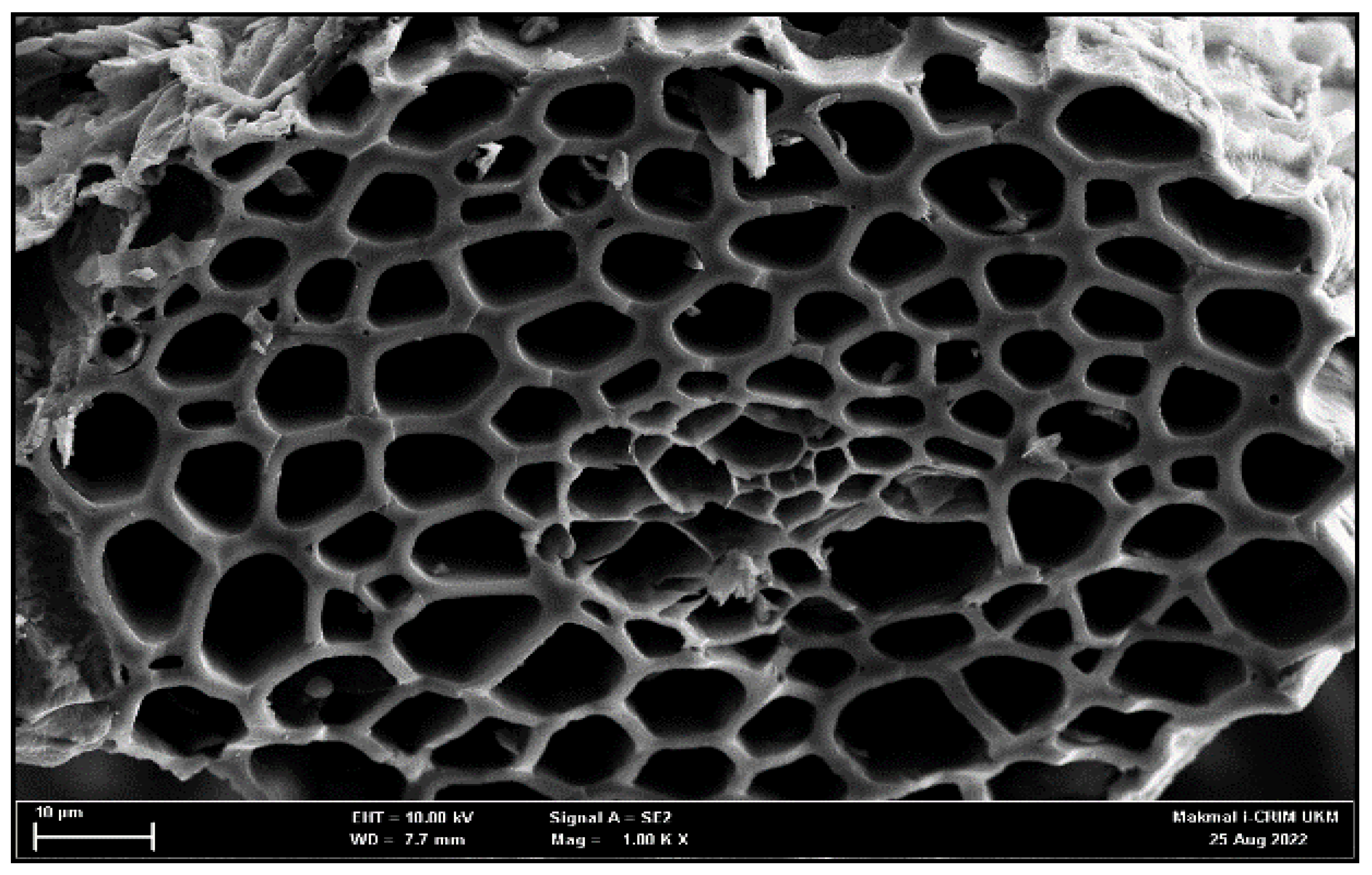 Molecules 27 08734 g010 Molecules 27 08734 g010