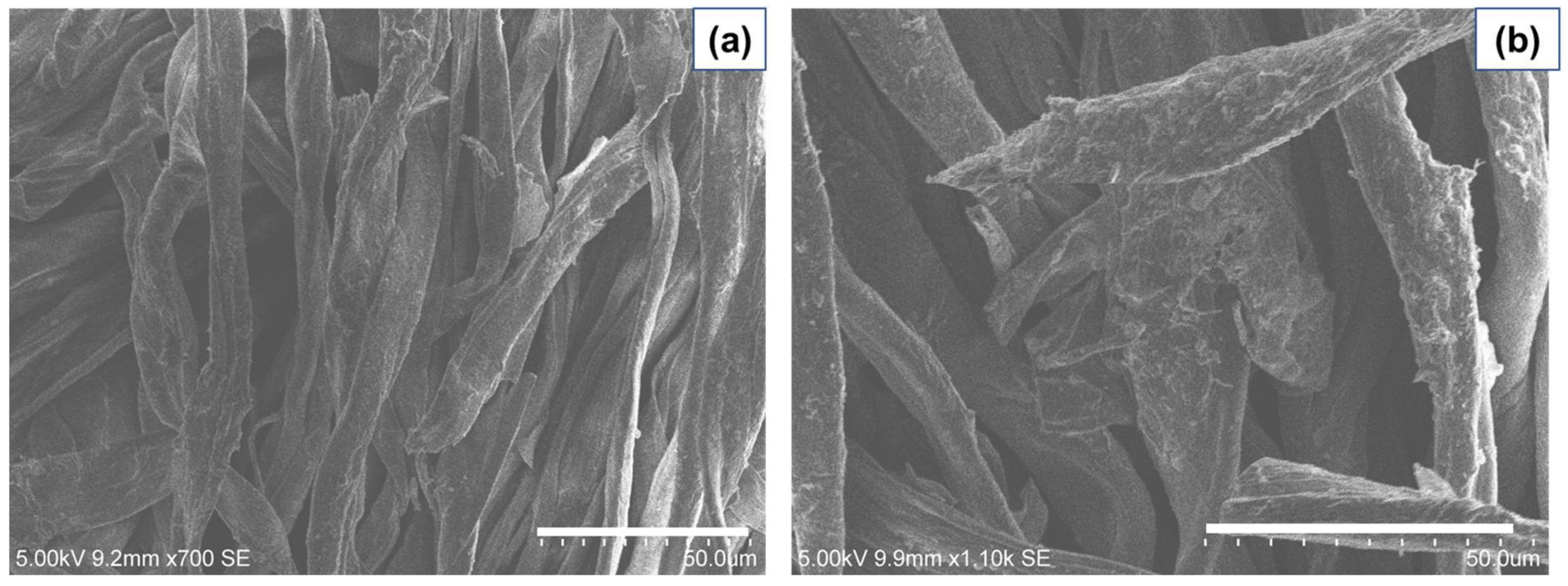 Molecules 27 08737 g010