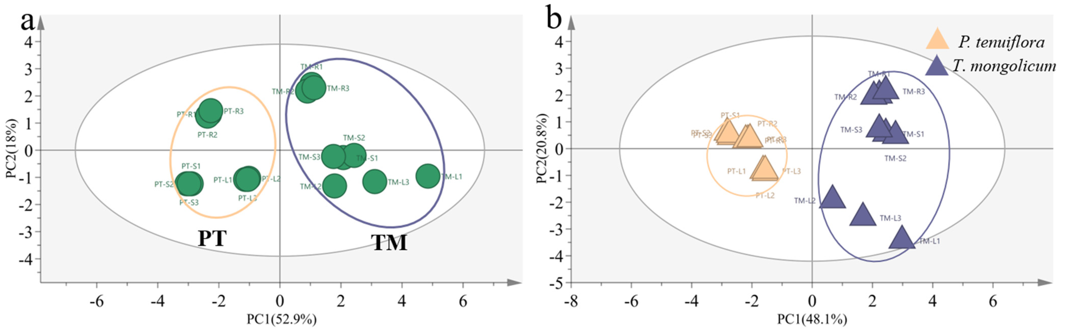 Molecules 27 08746 g001 Molecules 27 08746 g001