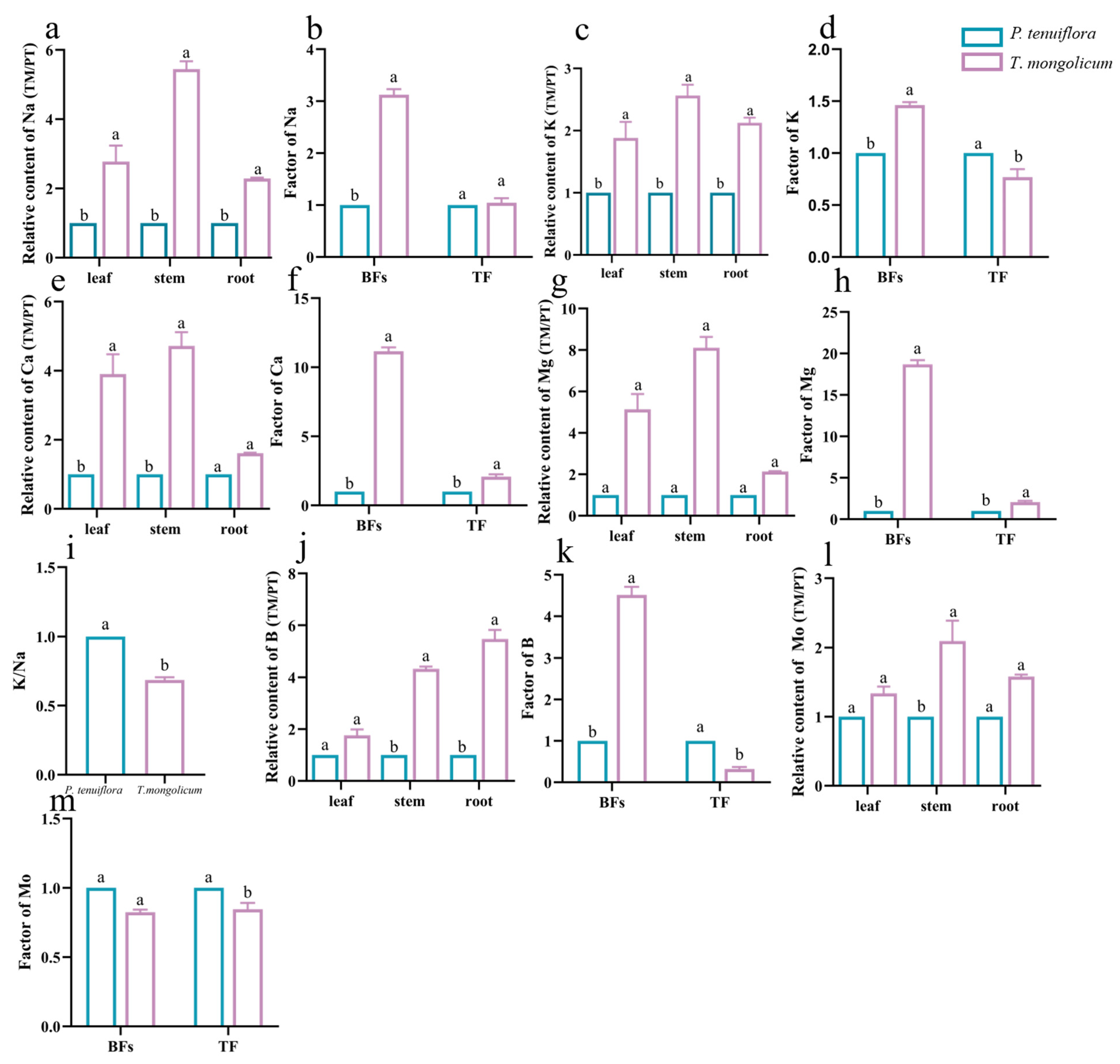 Molecules 27 08746 g002 Molecules 27 08746 g002