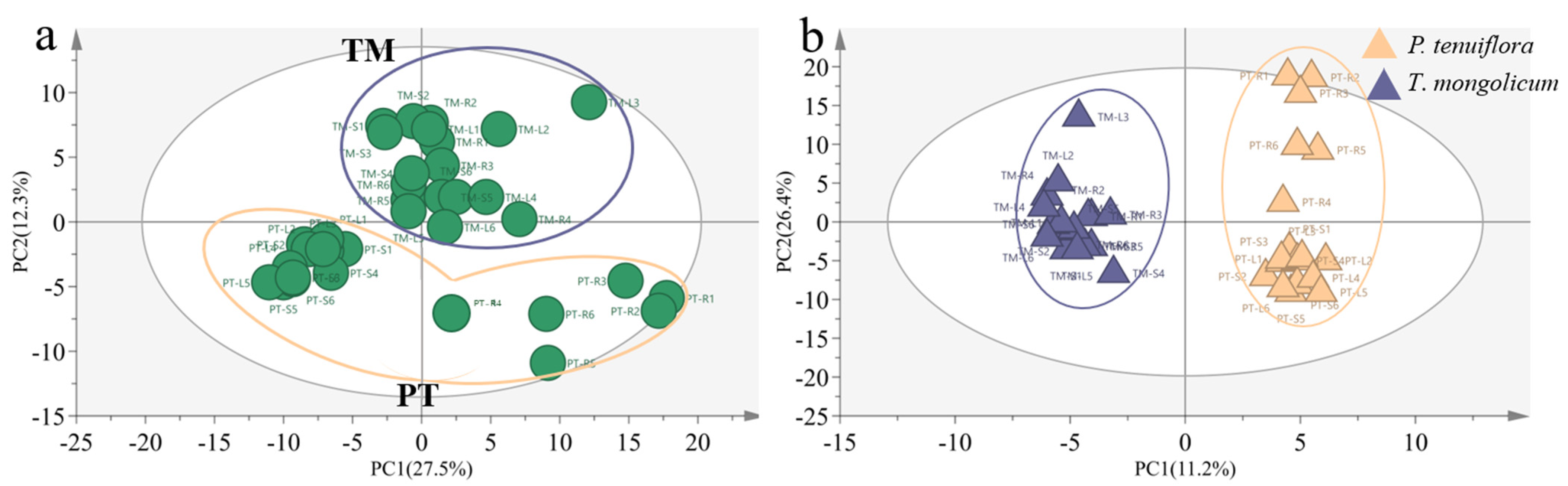 Molecules 27 08746 g003 Molecules 27 08746 g003