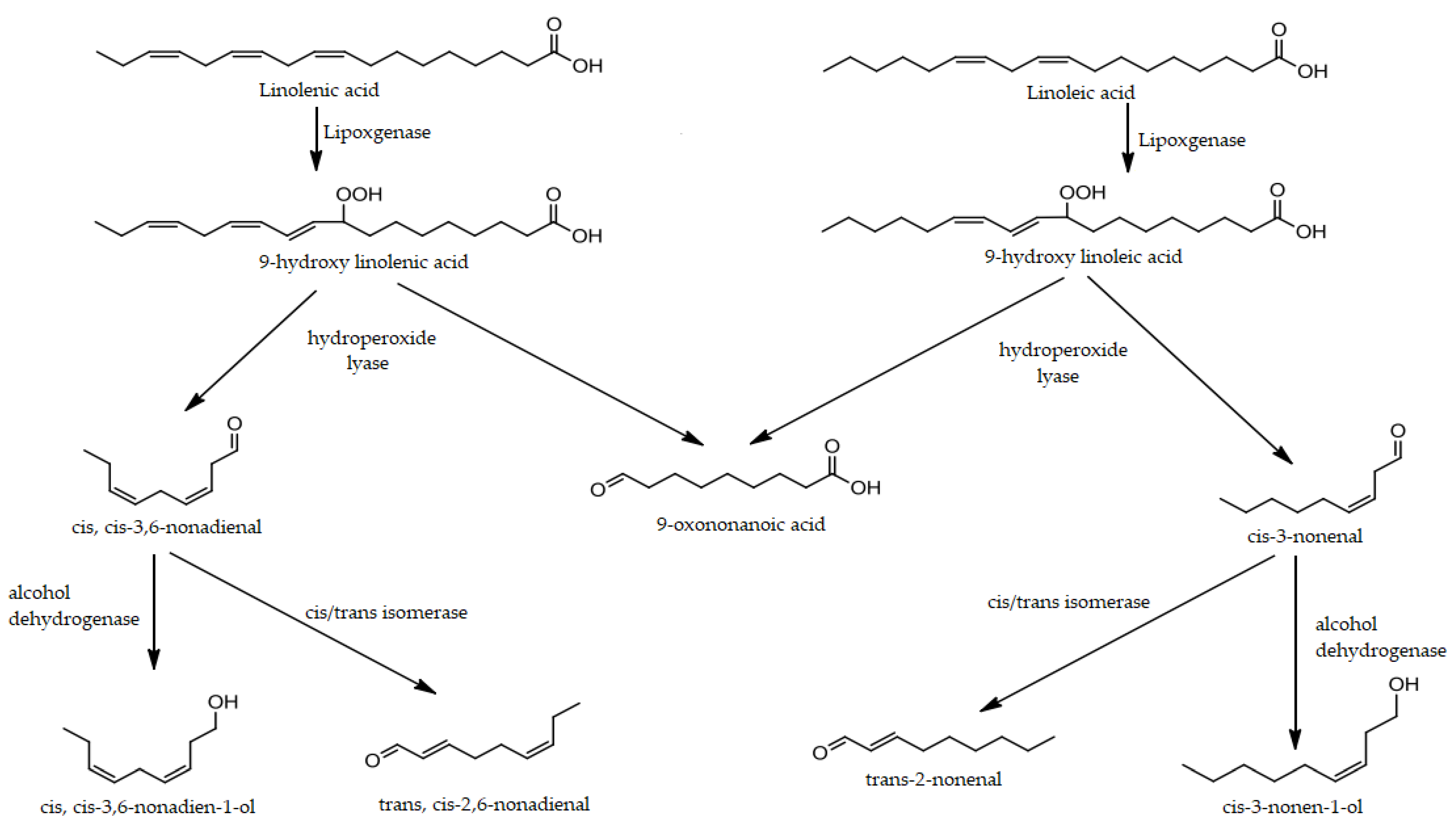Molecules 27 08747 g005 Molecules 27 08747 g005