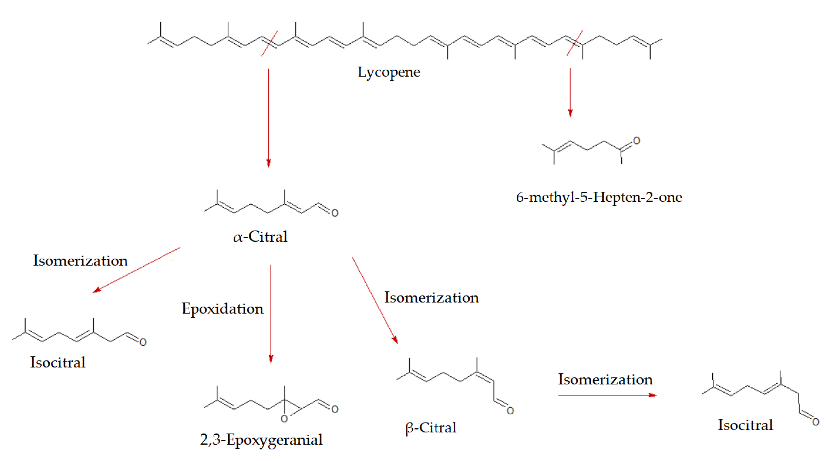 Molecules 27 08747 g006 Molecules 27 08747 g006