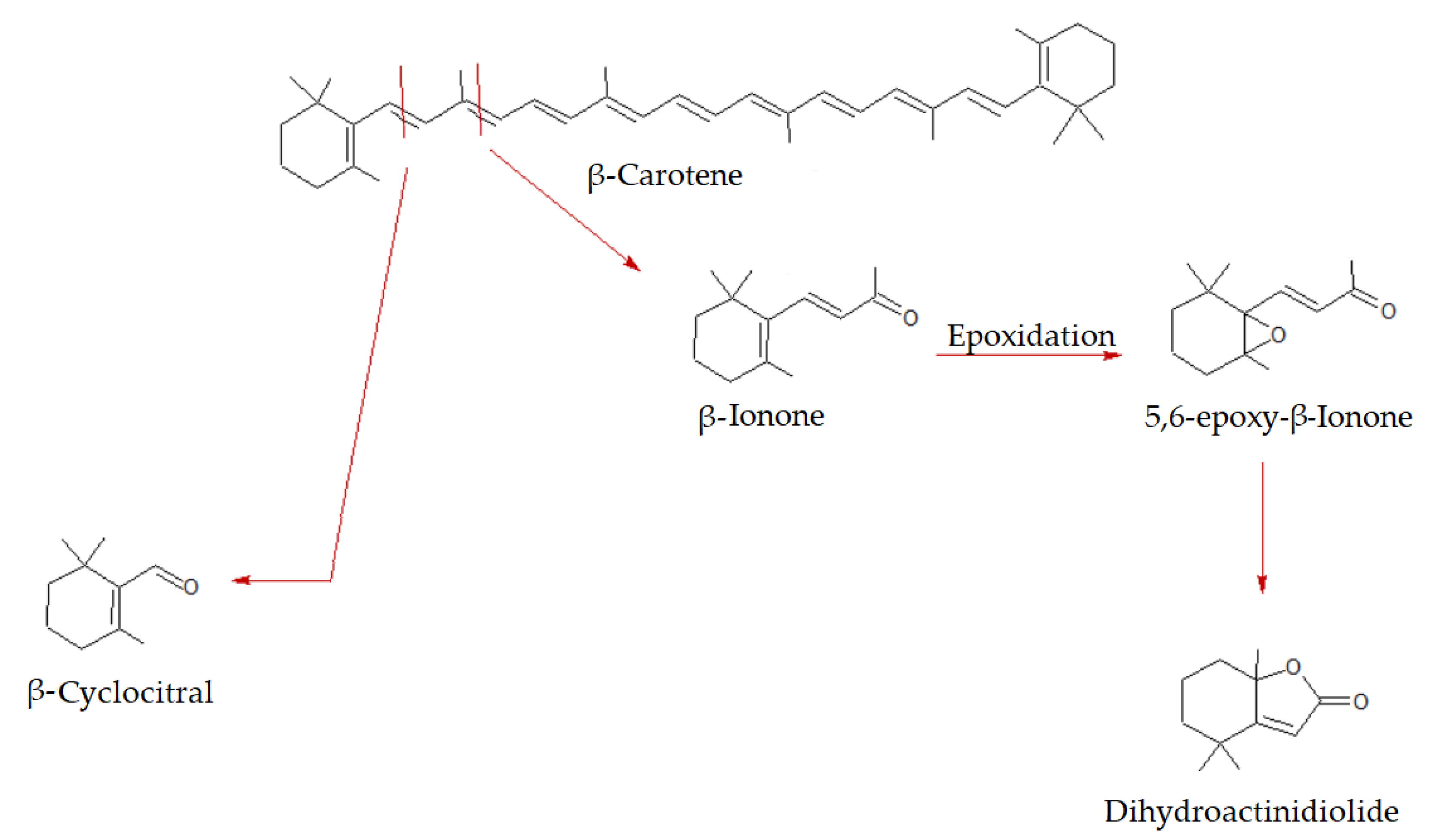 Molecules 27 08747 g007 Molecules 27 08747 g007