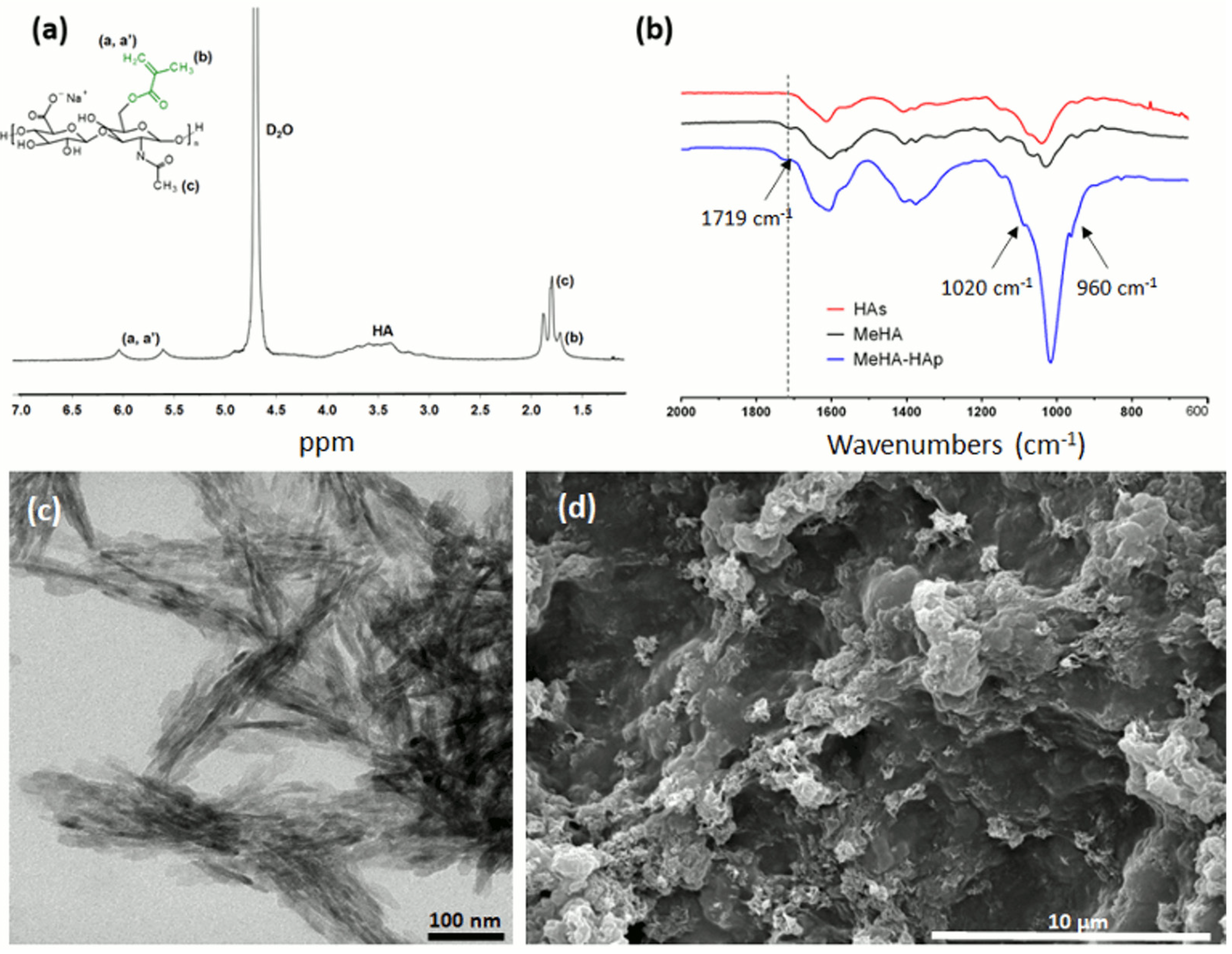 Molecules 27 08749 g001 Molecules 27 08749 g001